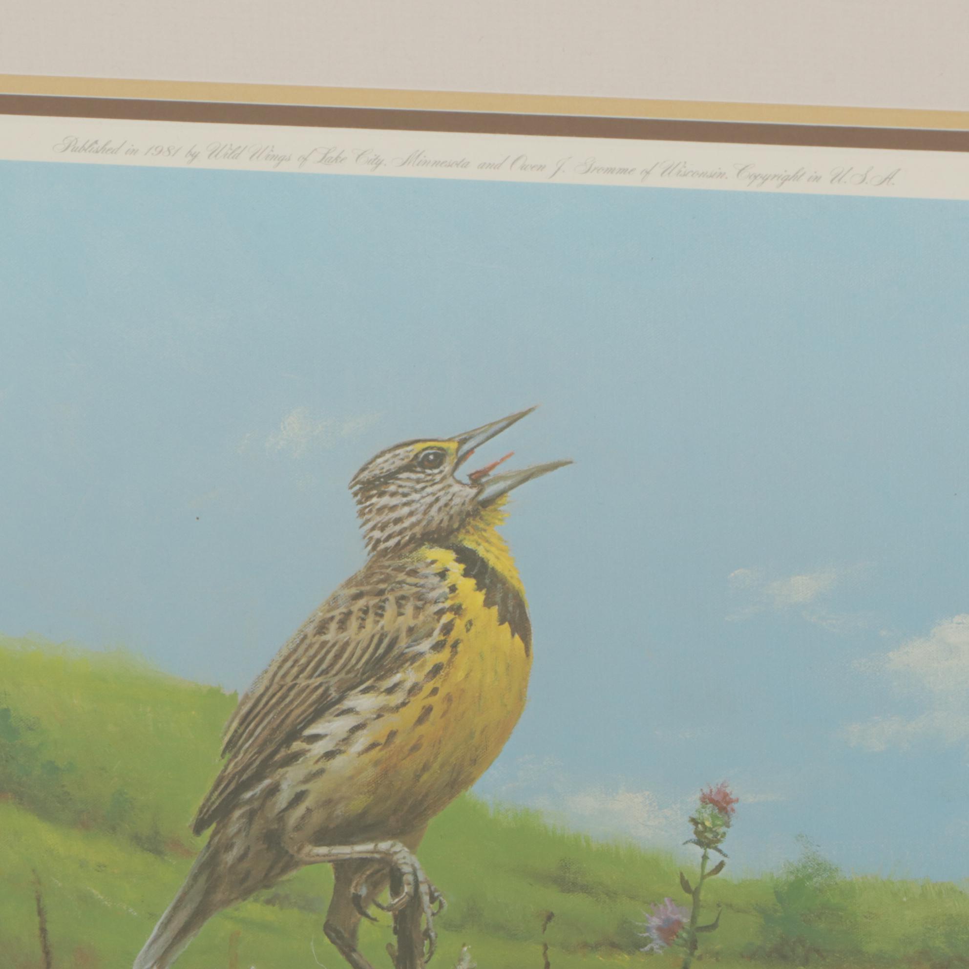 Owen J. Gromme Offset Lithograph of Meadowlark - Late Summer, 1981