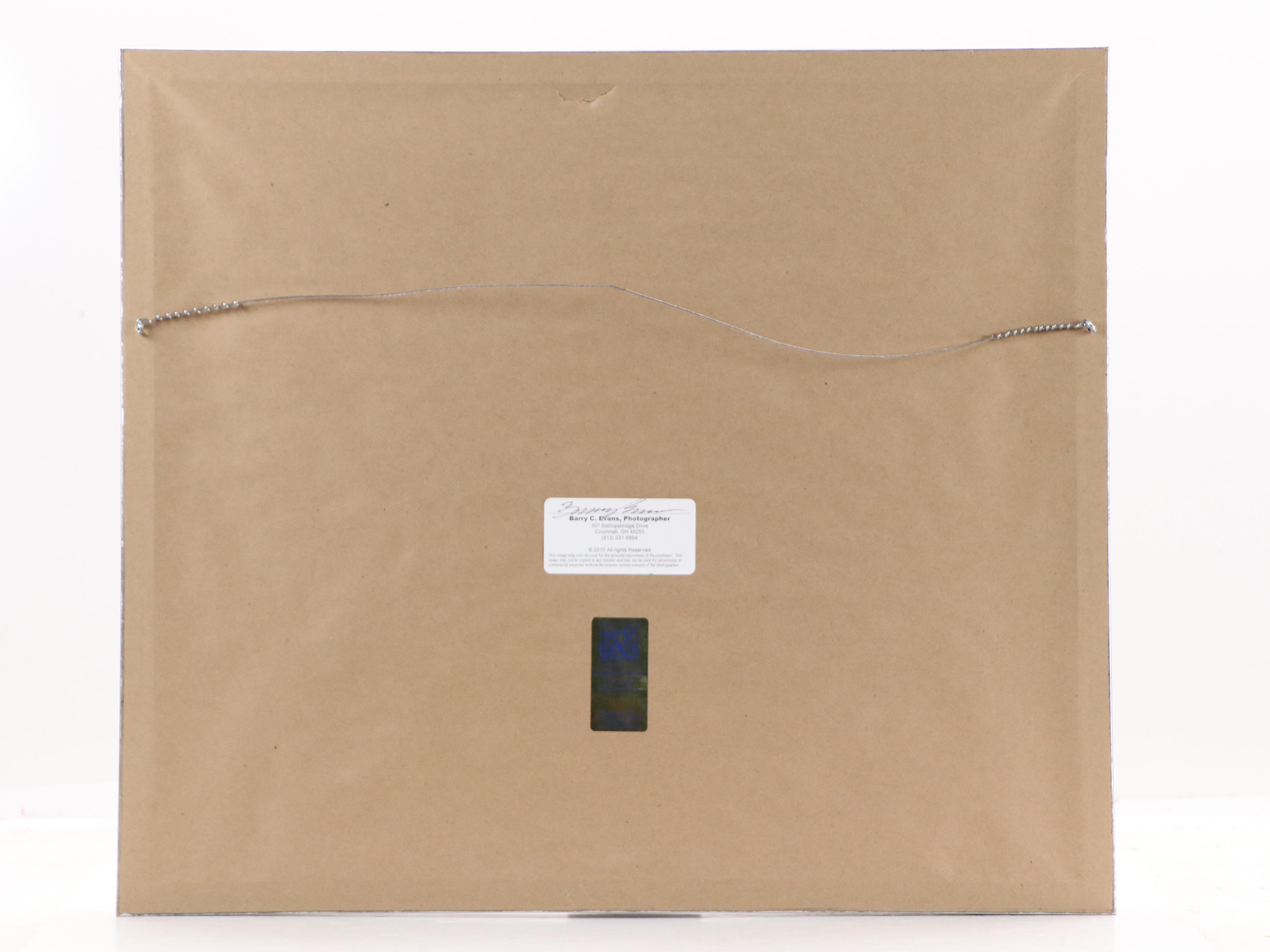 Barry C. Evans Giclée Photograph of Great Blue Heron, 2010