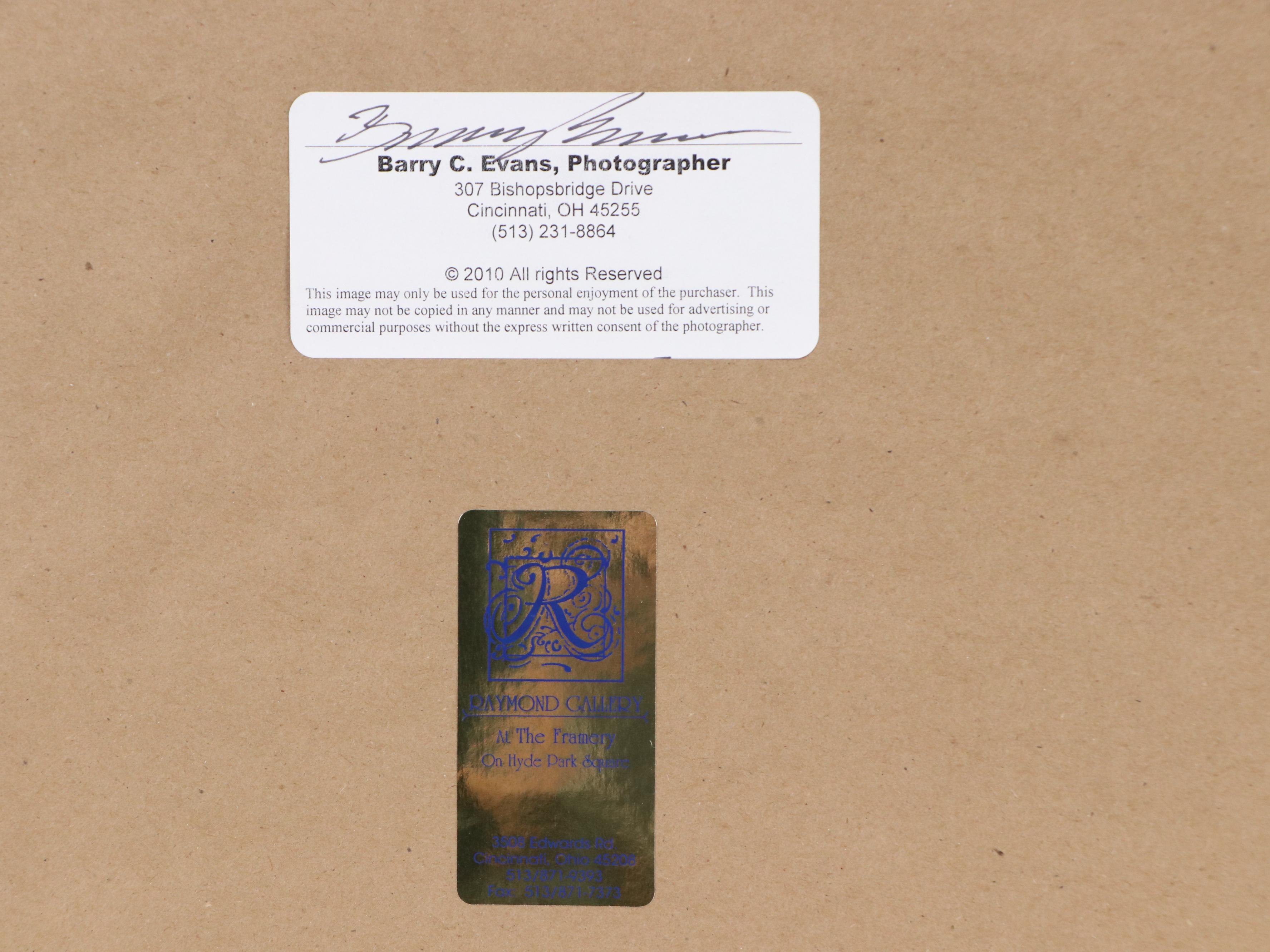 Barry C. Evans Giclée Photograph of Great Blue Heron, 2010