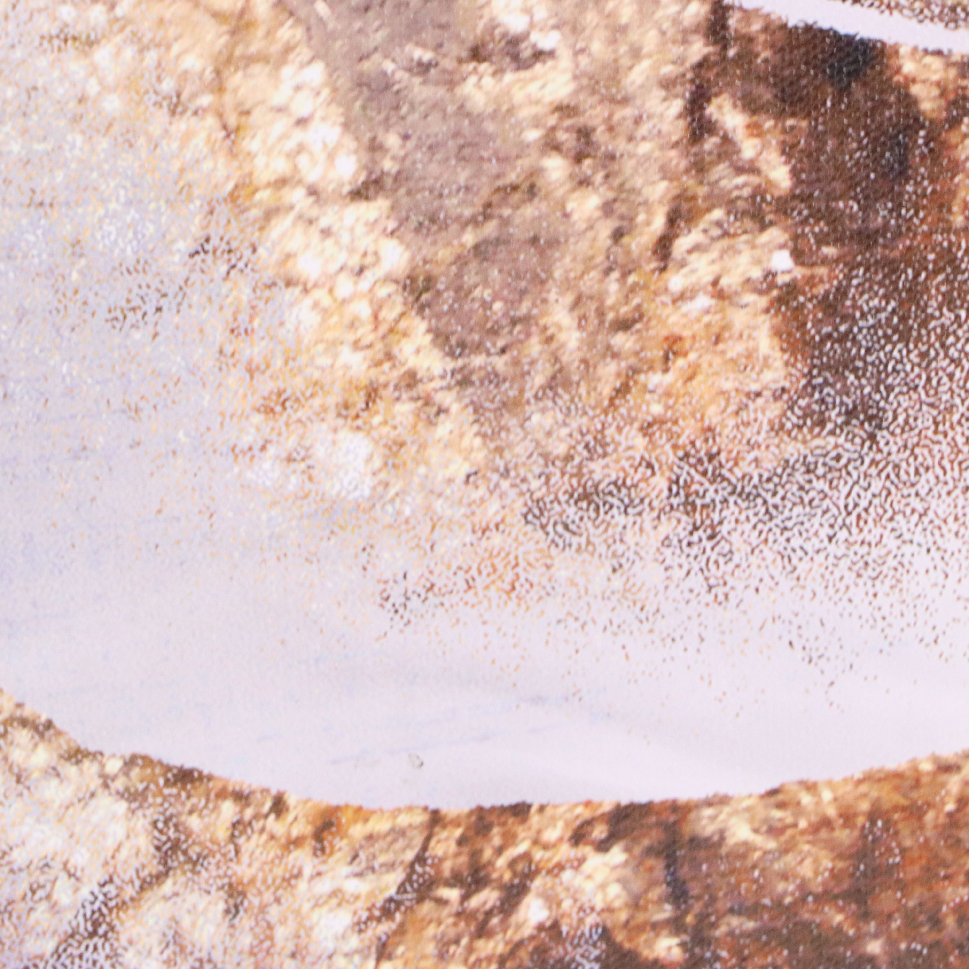 Oliver Gal Artist Collective Floral Giclée