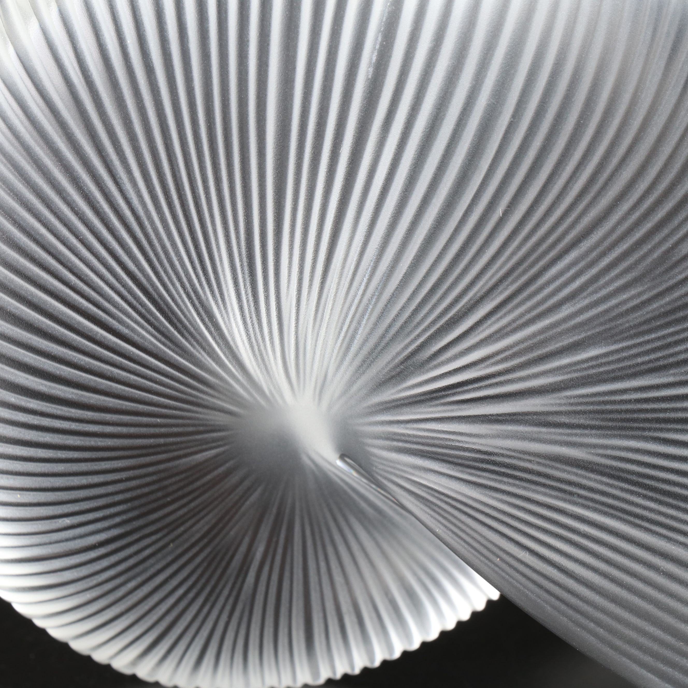 Baccarat "Nautilus Shell" Crystal Figurine