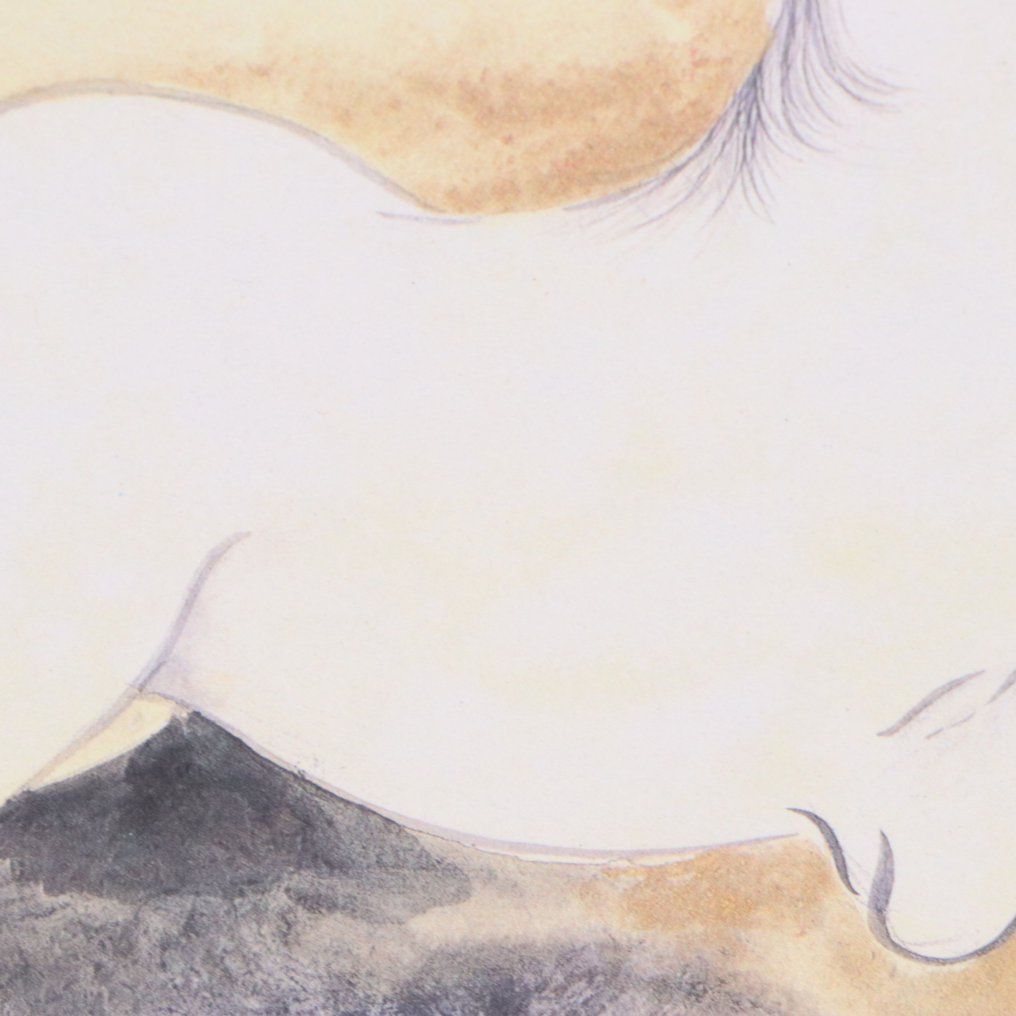 Japanese Sumi-e Ink Wash Painting of Horse with Offset Lithographs