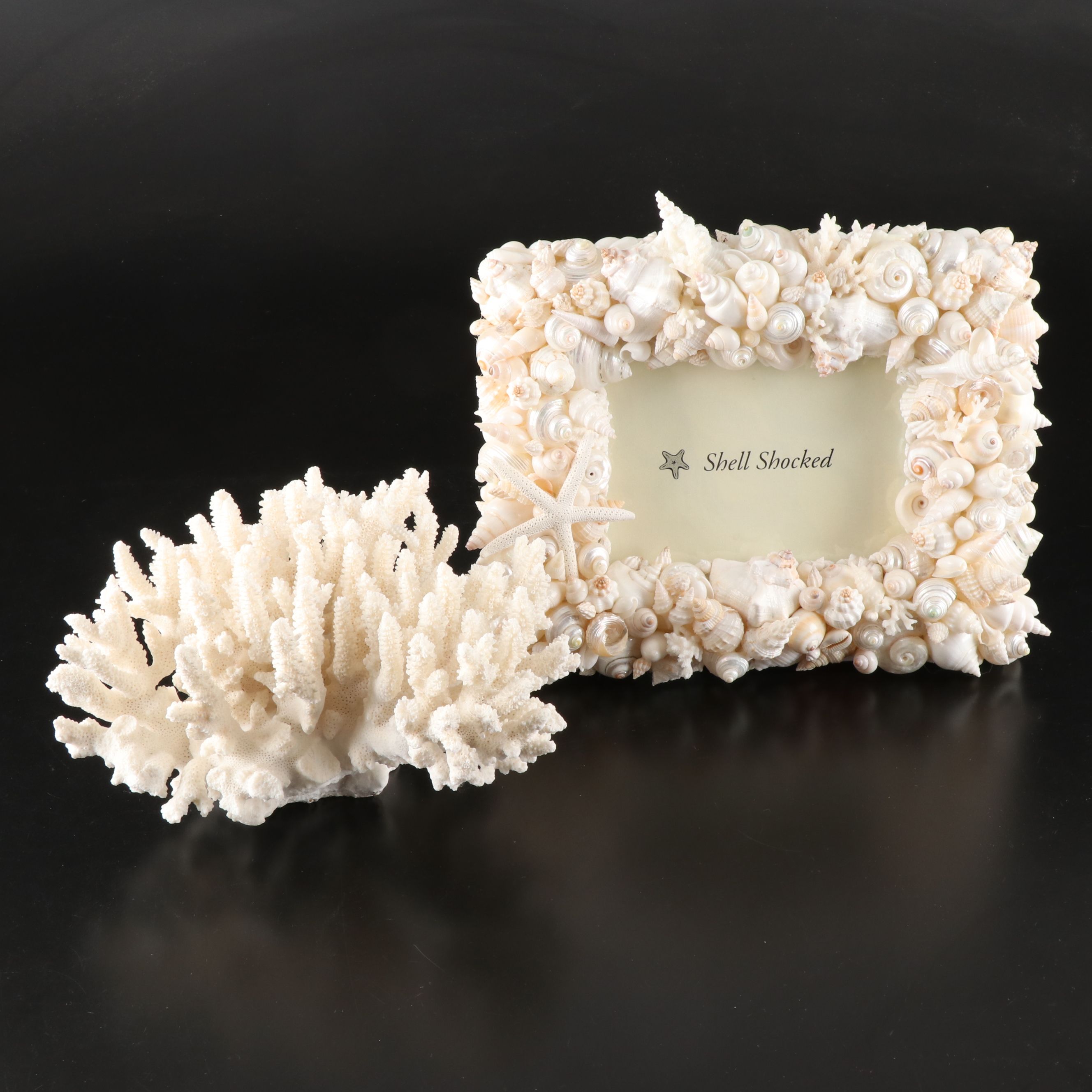 Handmade Seashell, Sugar Star, and Fossil Coral Picture Frame with Fossil Coral