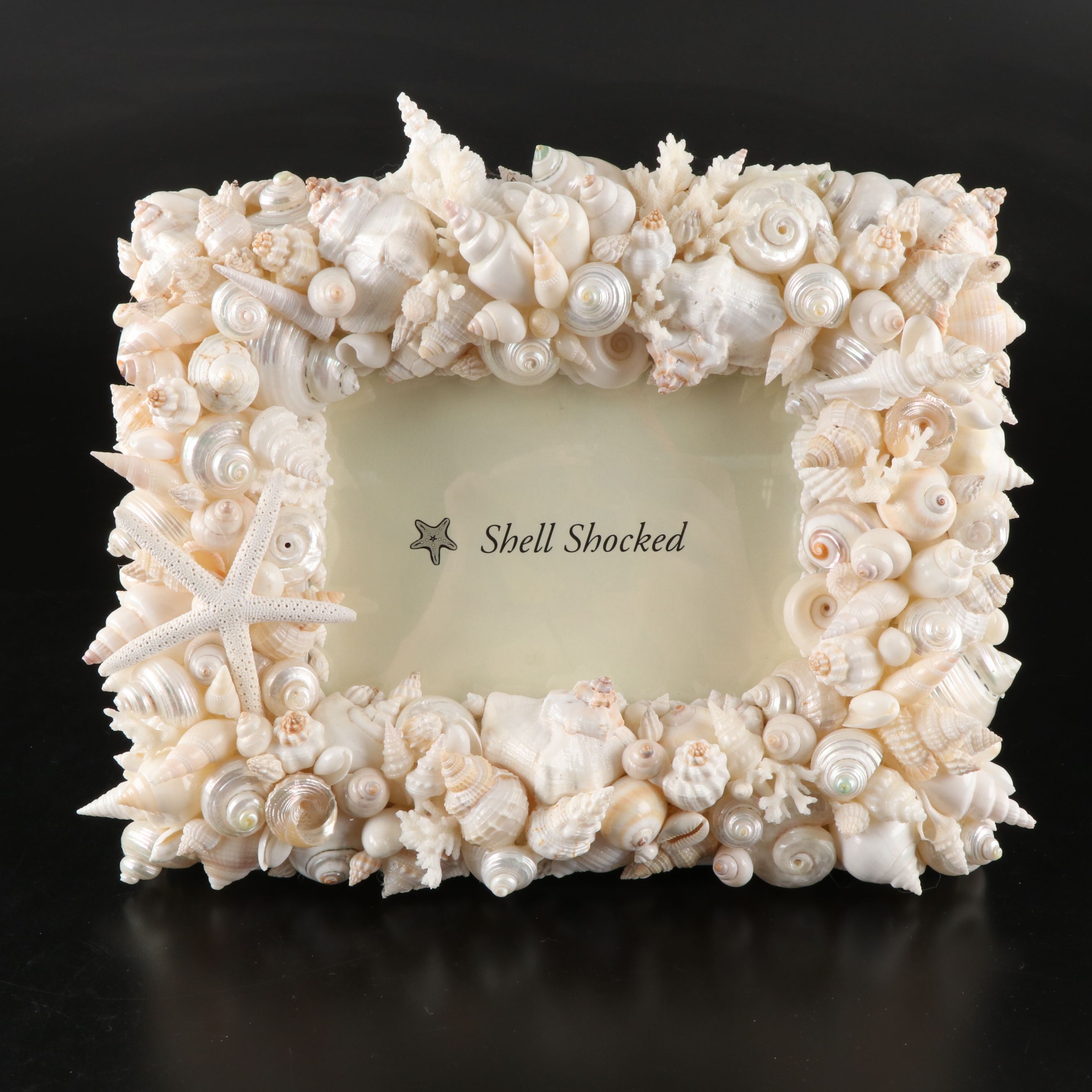 Handmade Seashell, Sugar Star, and Fossil Coral Picture Frame with Fossil Coral