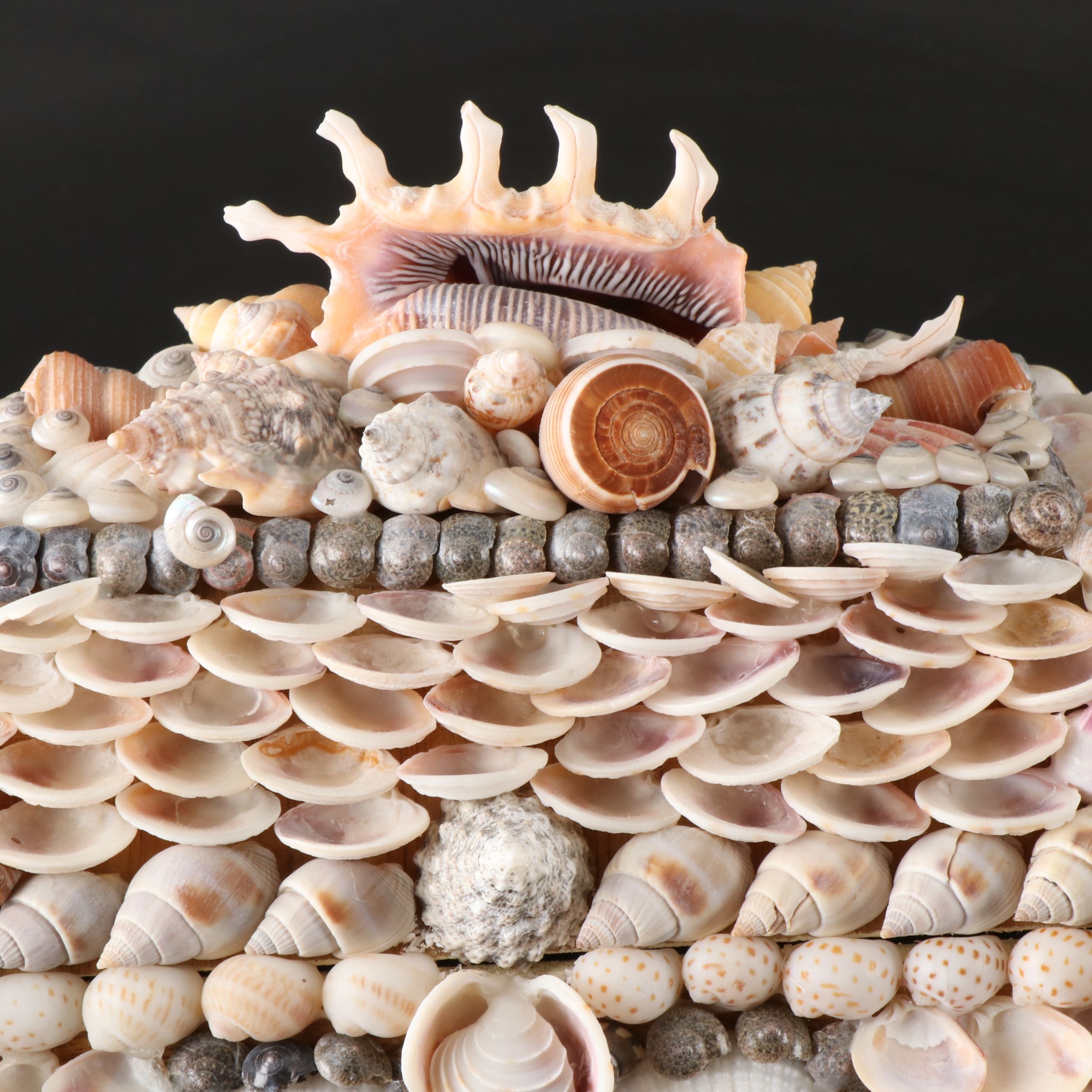 Filipino Handmade Seashell Accent Decorative Box