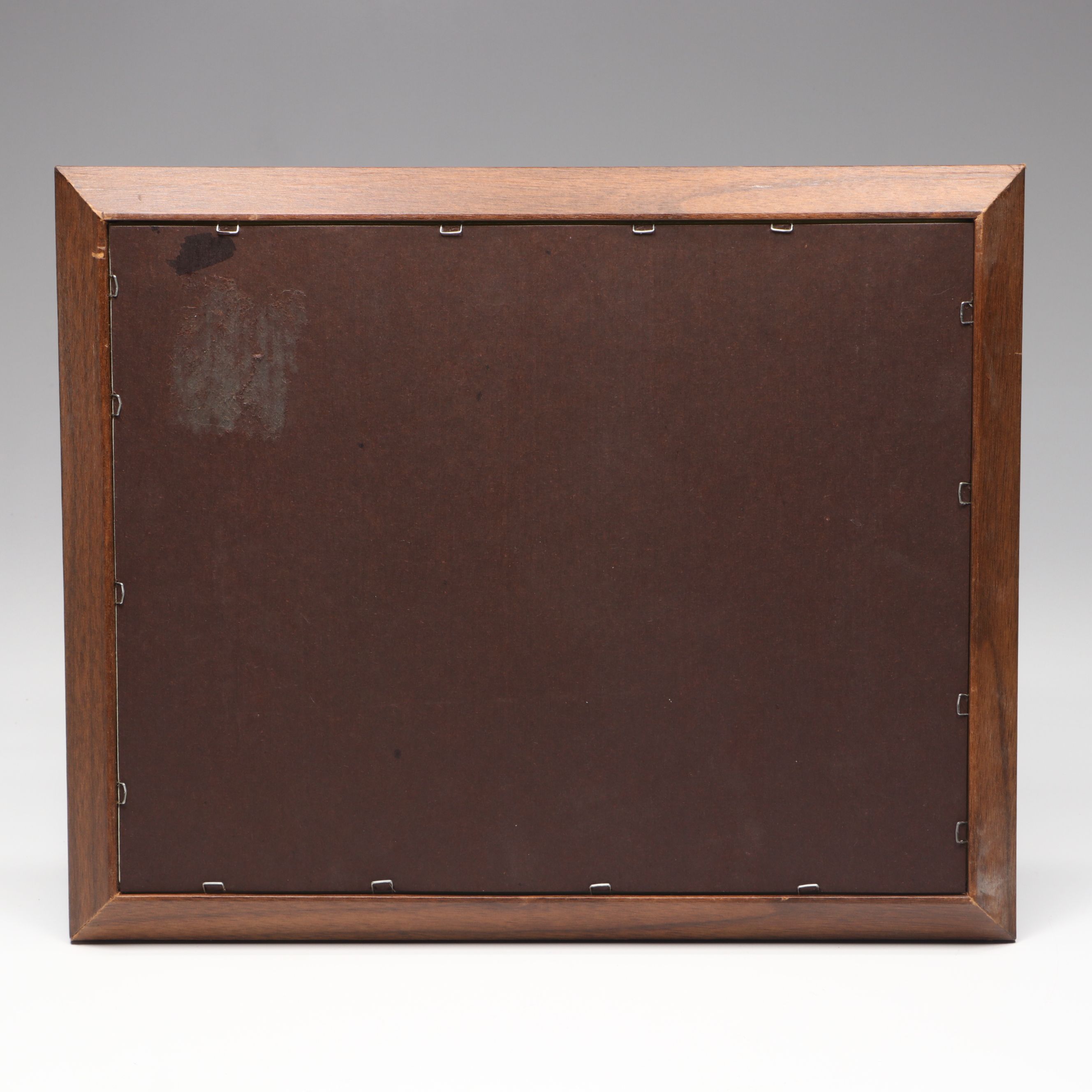 "Dogmata Medicinae Generalia" by Jakob Pancraz Bruno Framed Book Pages