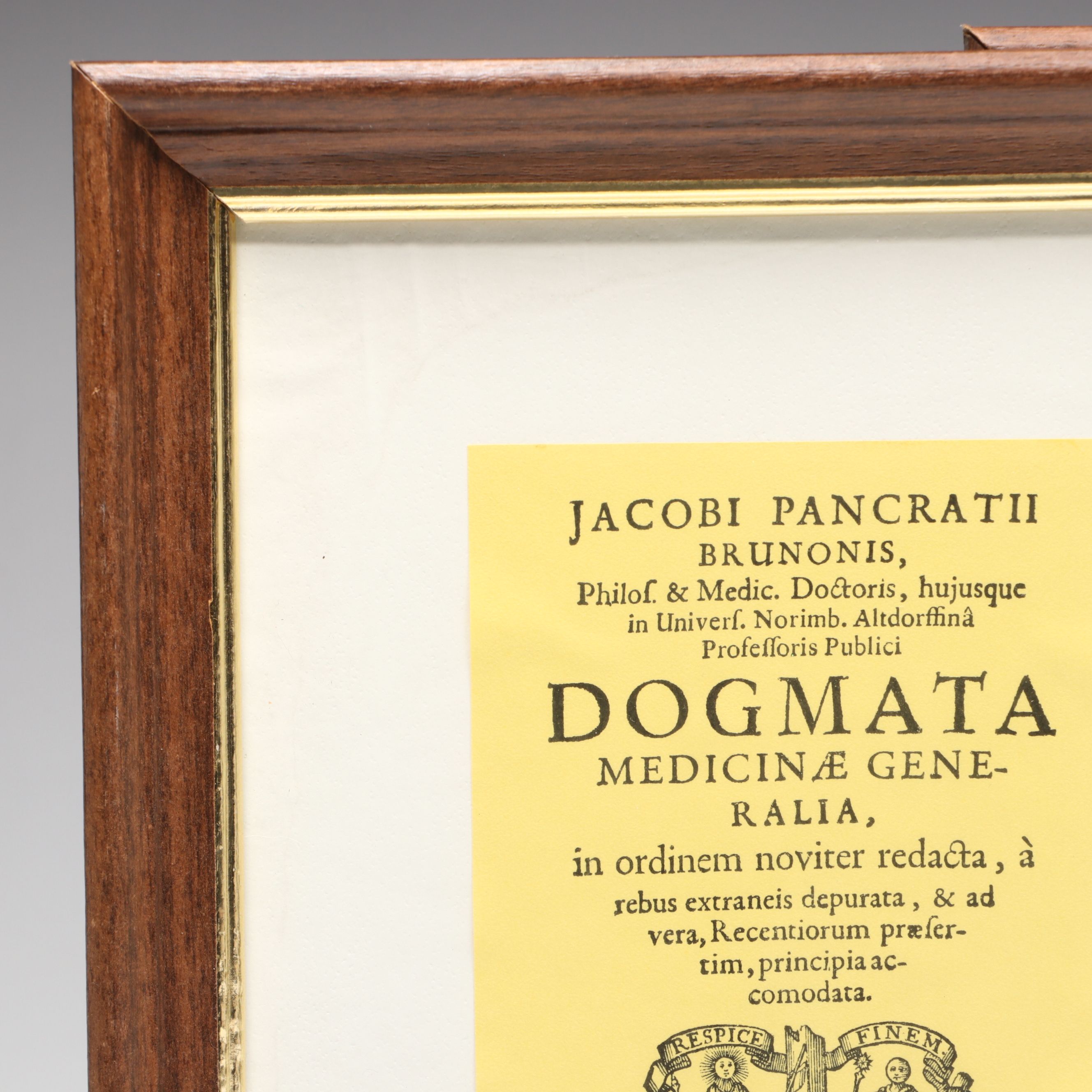 "Dogmata Medicinae Generalia" by Jakob Pancraz Bruno Framed Book Pages