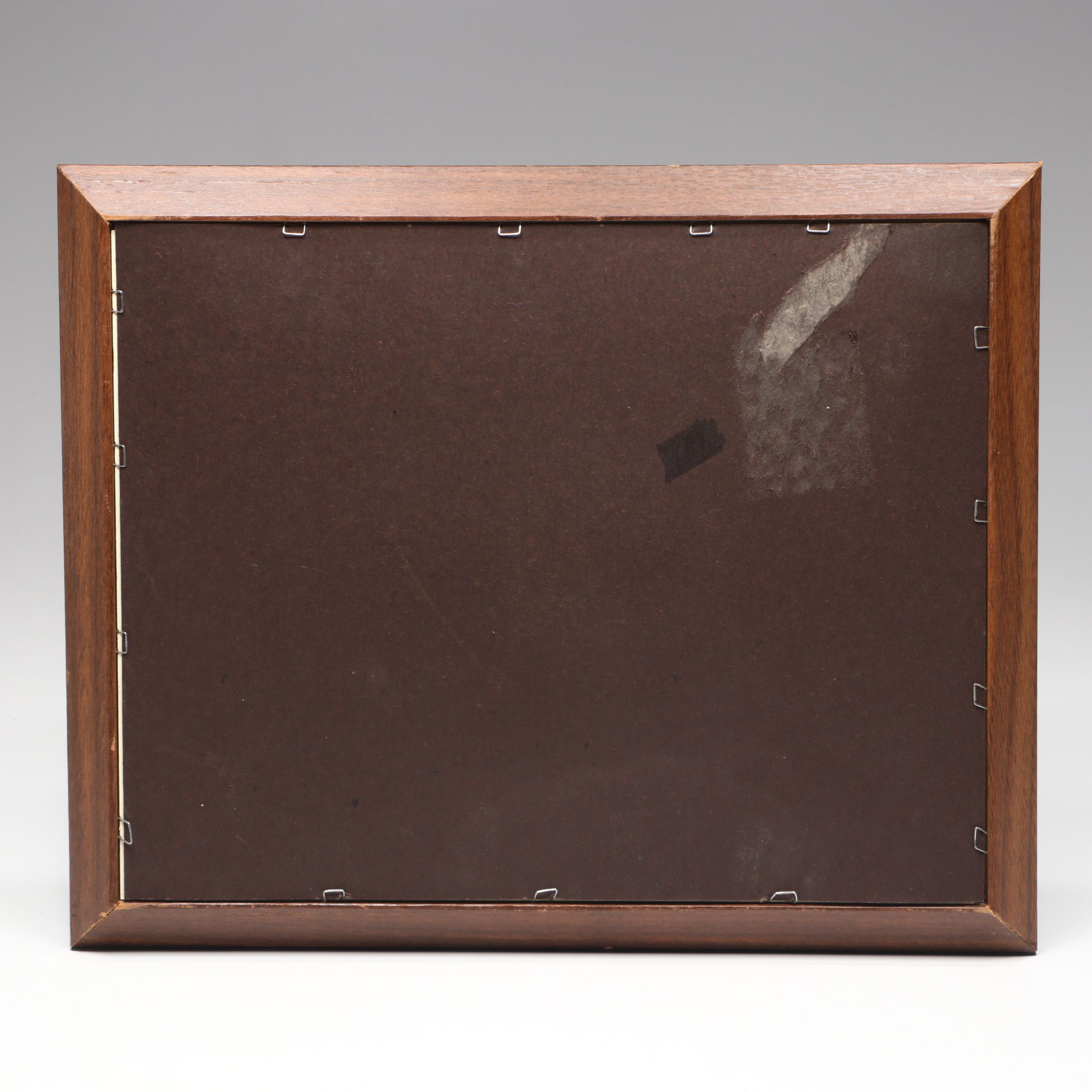 "Dogmata Medicinae Generalia" by Jakob Pancraz Bruno Framed Book Pages