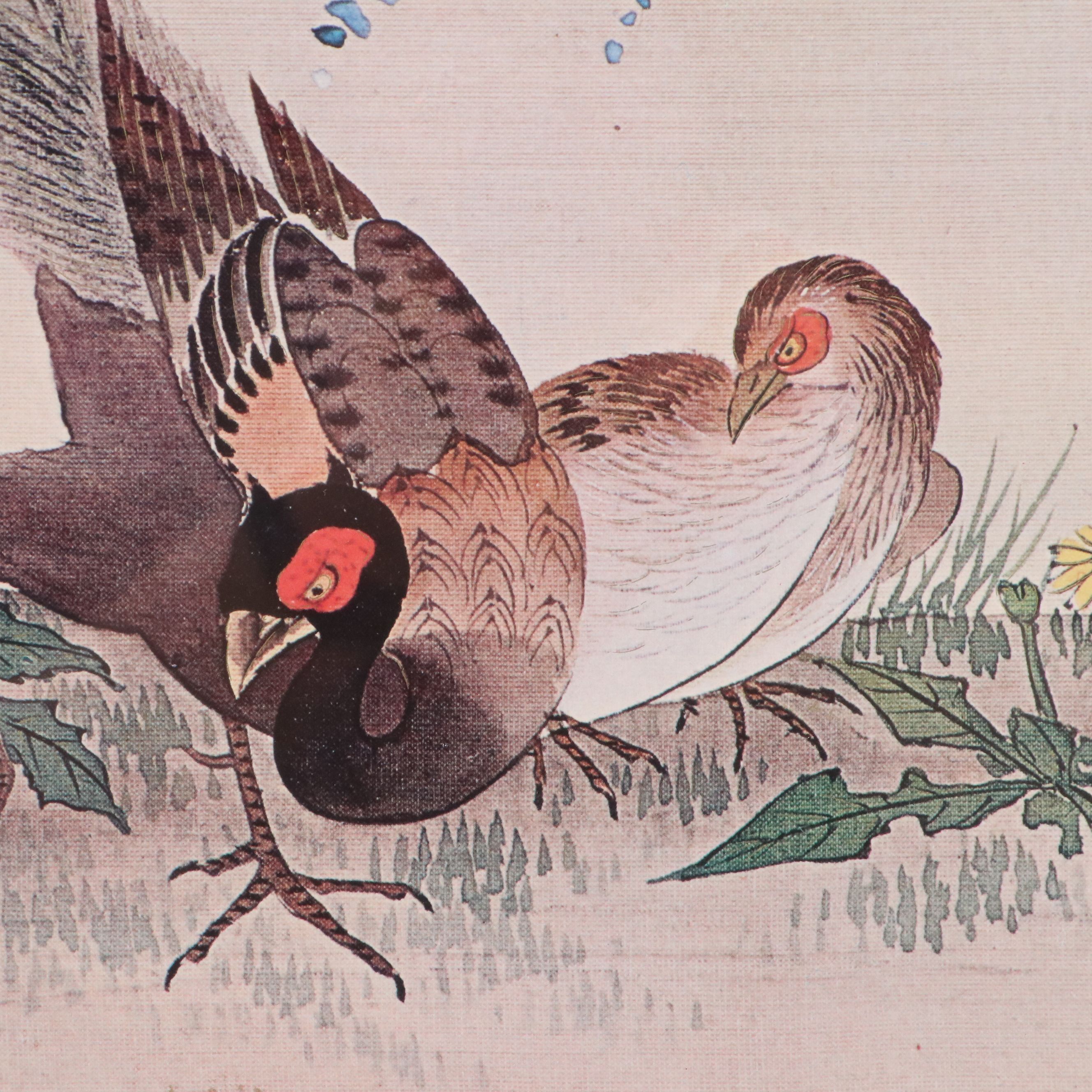 Japanese Kachō-ga Offset Lithographs