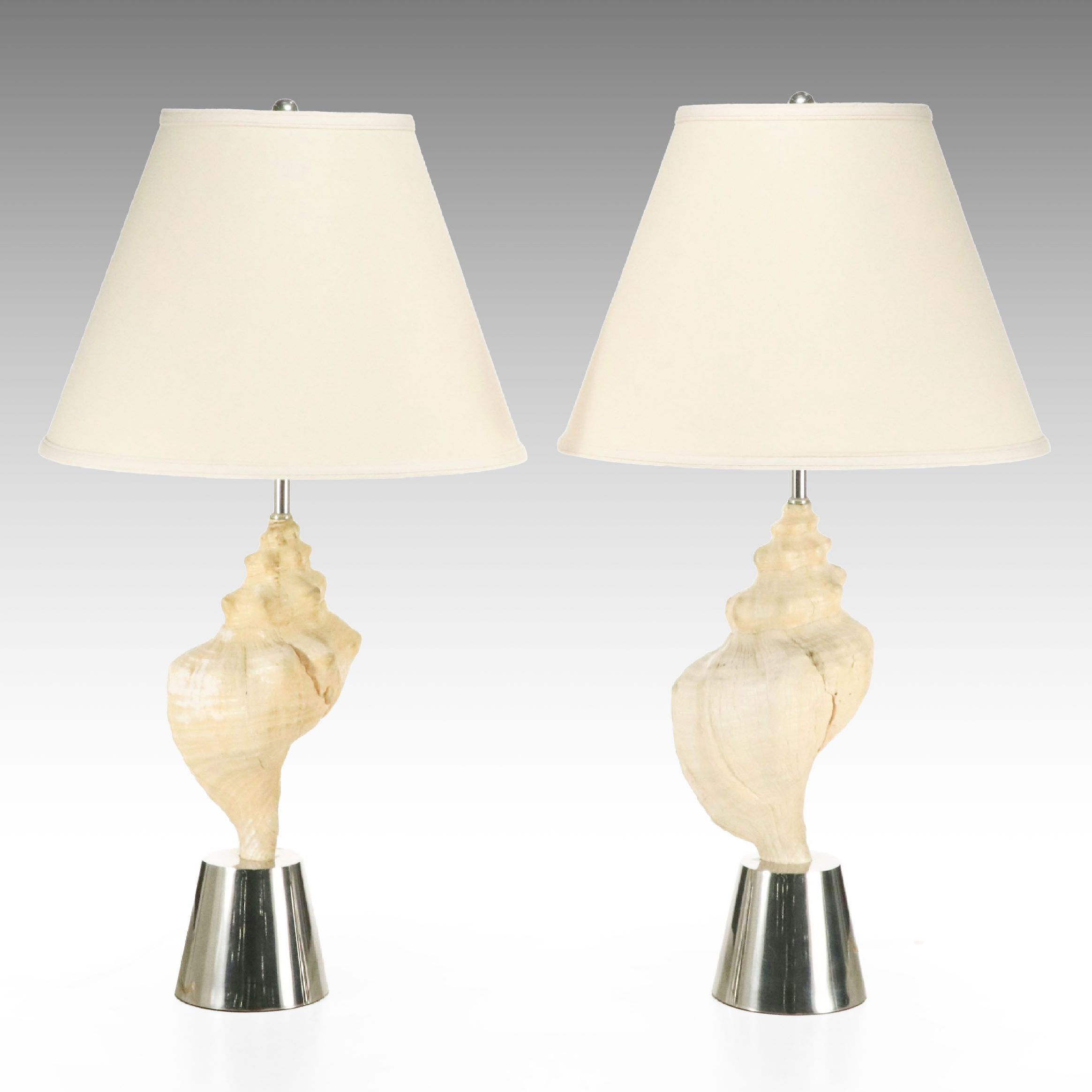 John Vesey Pair of Giant Triton Shell Table Lamps with Cotton Cone Shades