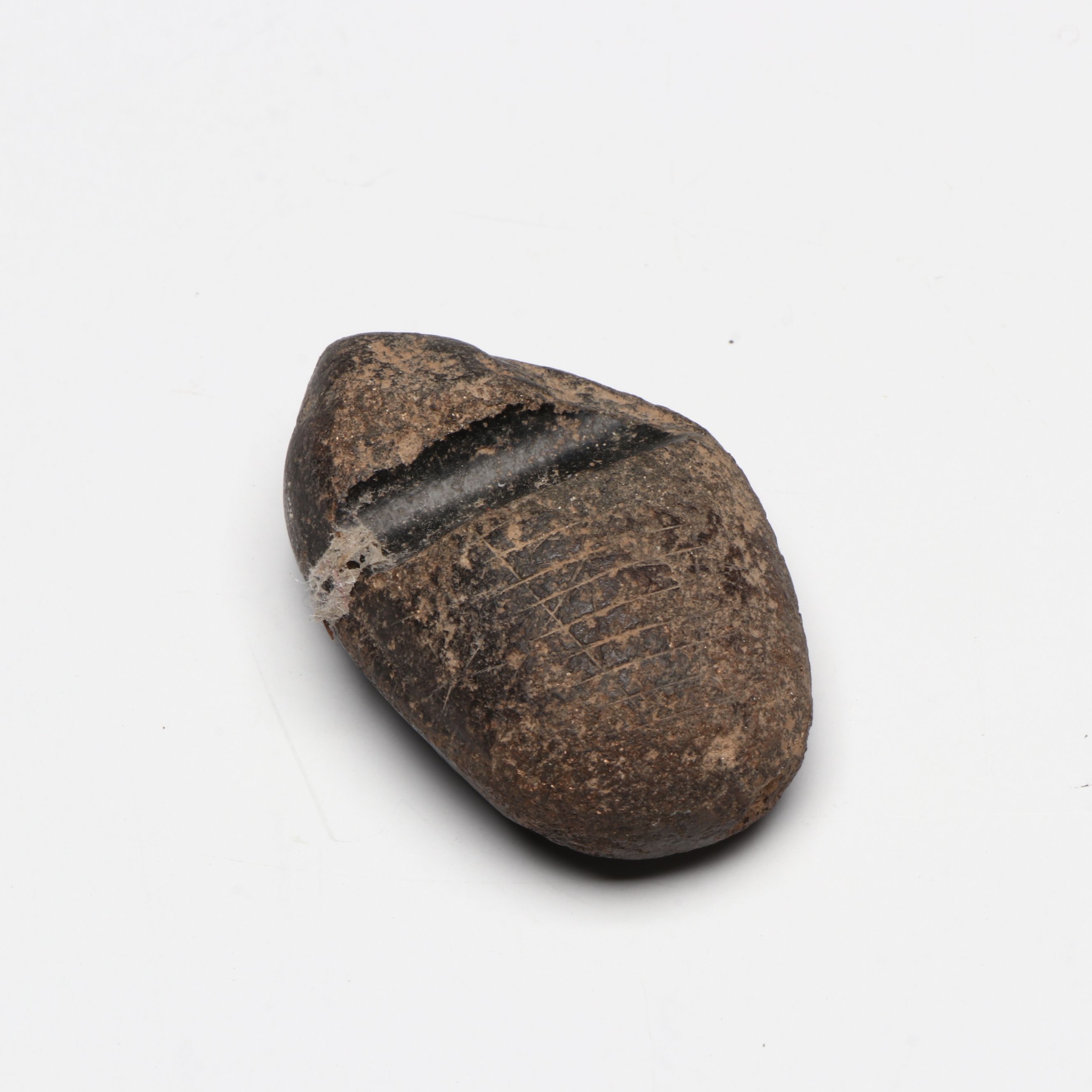 Native American Stone Axe Head, Volcanic Rock Anchor Weights and Other Artifacts