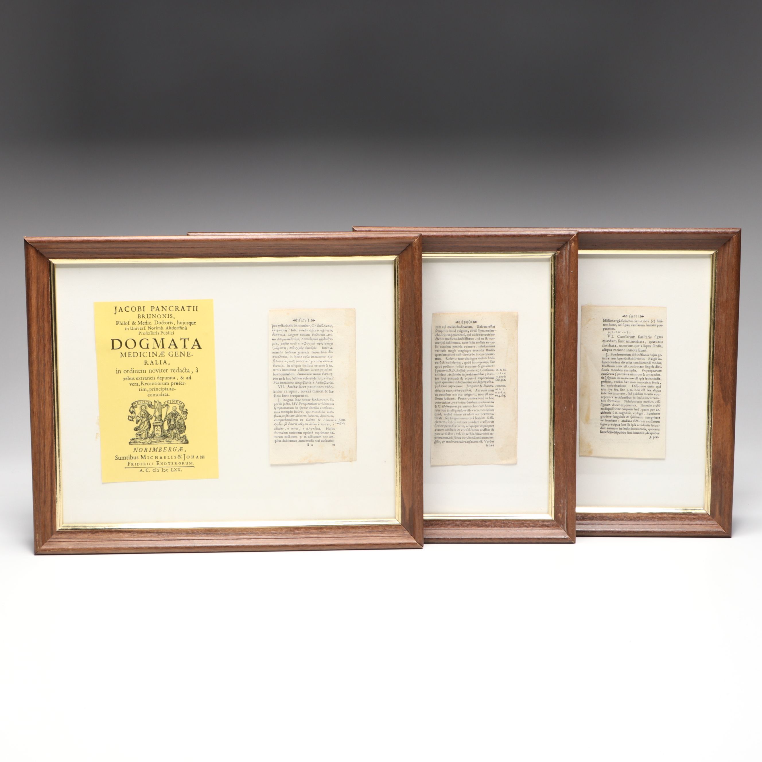 "Dogmata Medicinae Generalia" by Jakob Pancraz Bruno Framed Book Pages