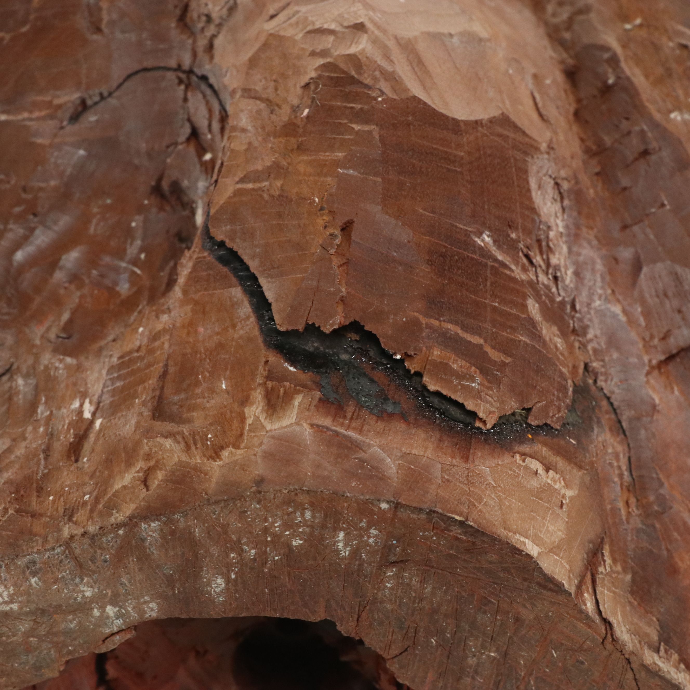 Carved Wood Knot of Crouched Forlorn Figure