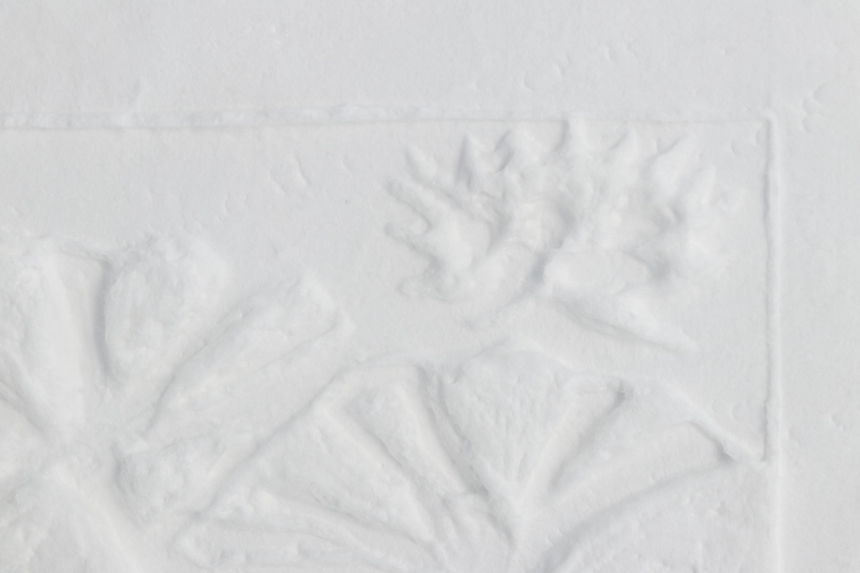 Sandra K. Yocum "Cast Lilies II" Plaster Relief, 1994