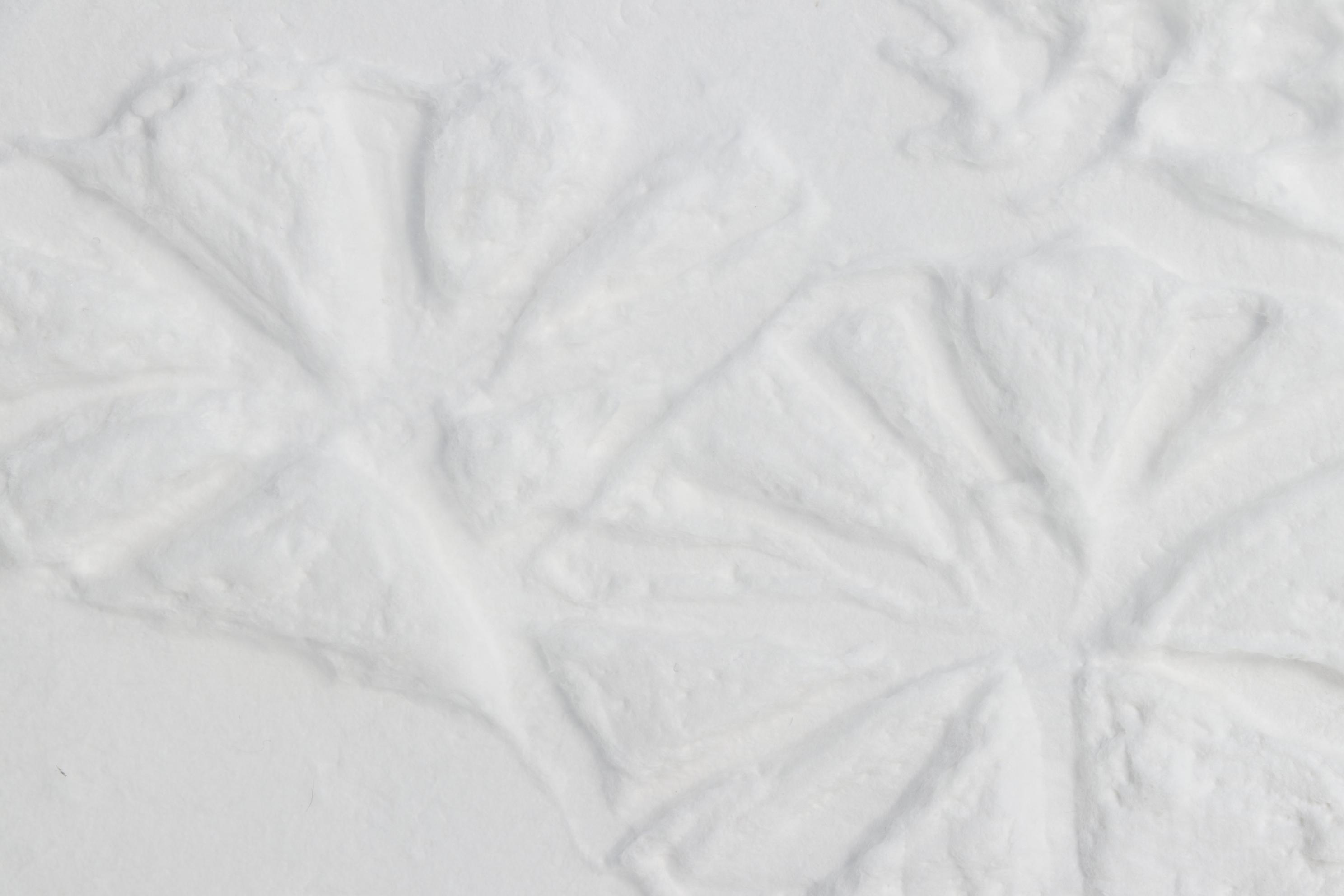 Sandra K. Yocum "Cast Lilies II" Plaster Relief, 1994