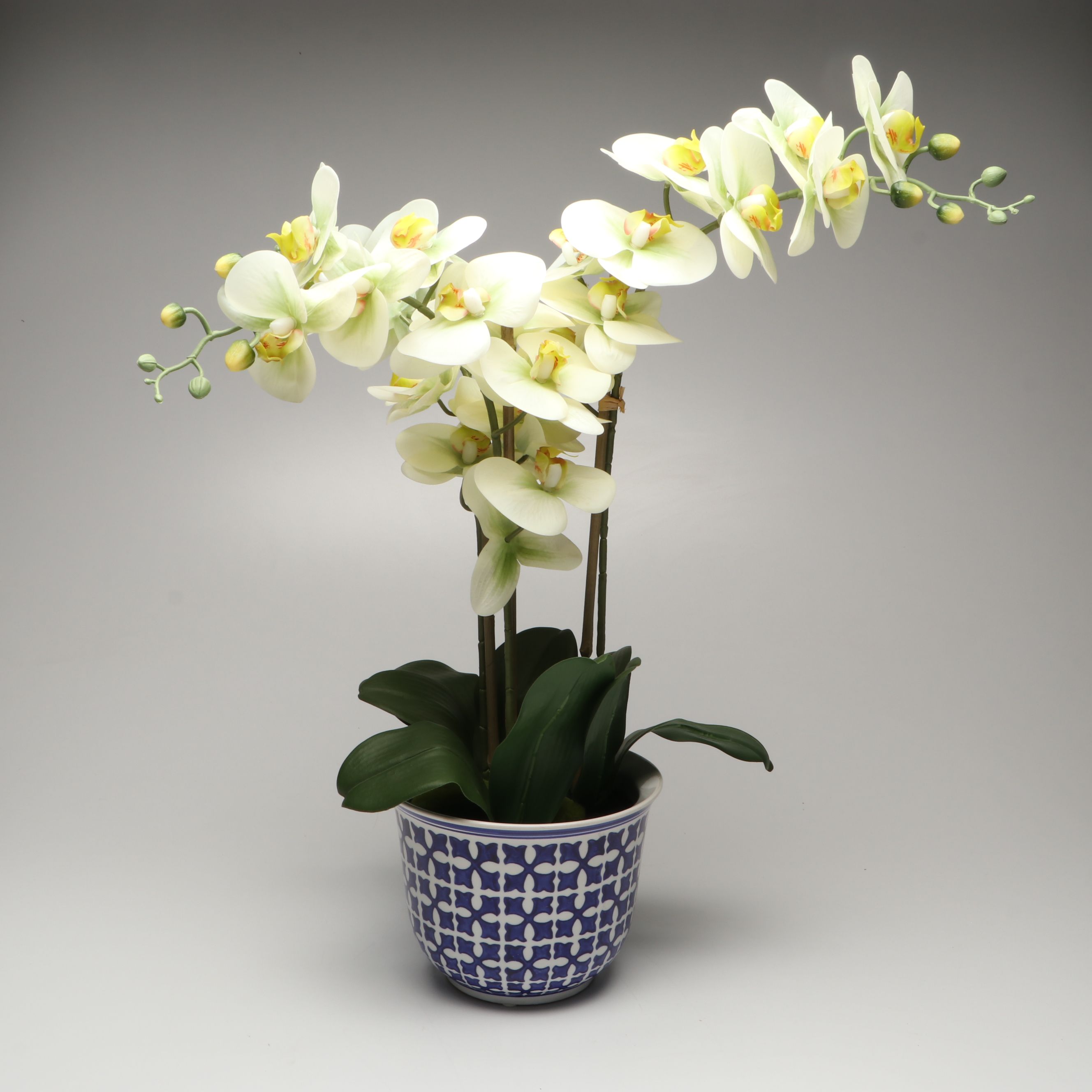 Contemporary Blue Patterned Ceramic Vases with Artificial Orchid and Succulent
