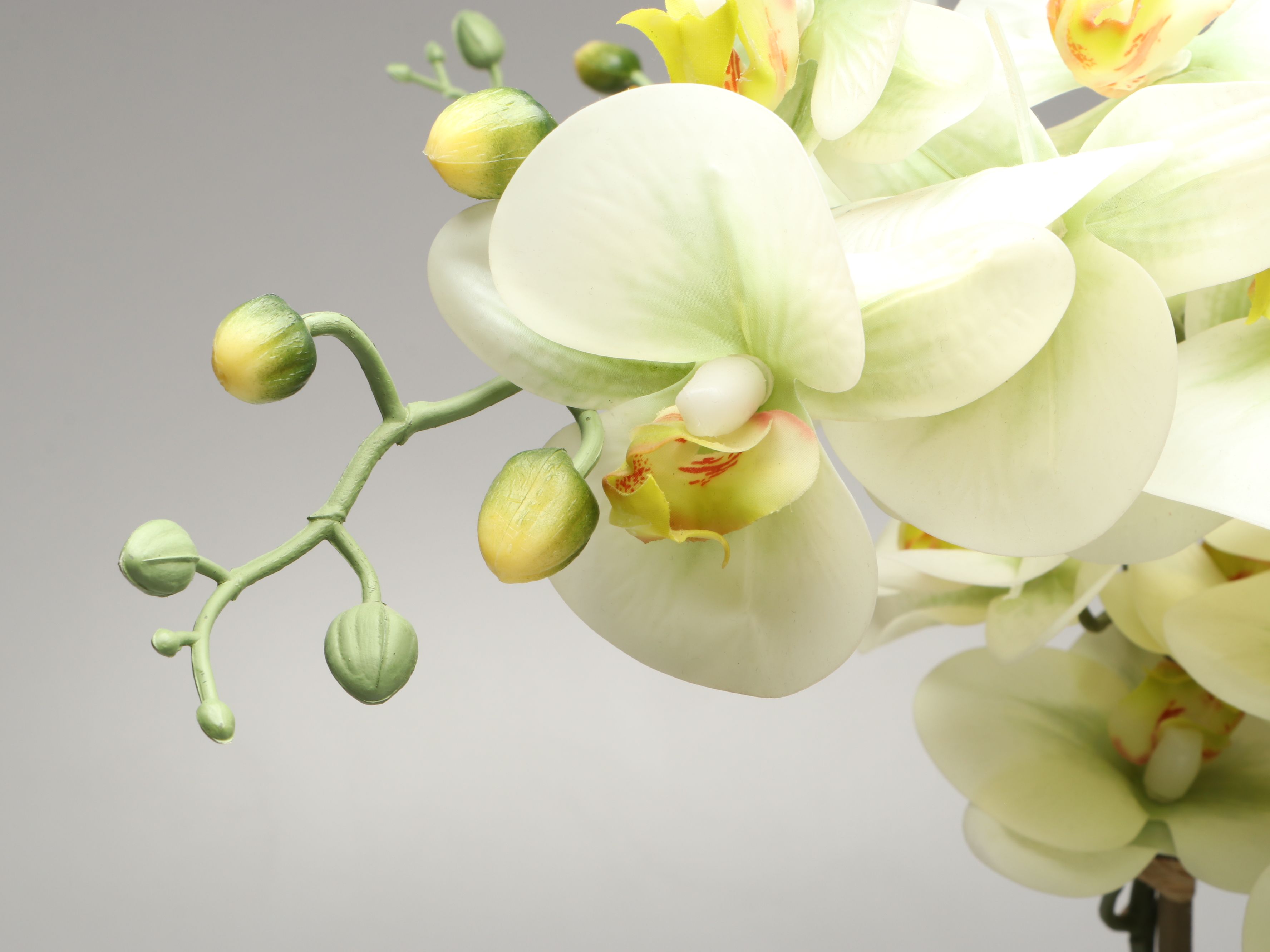 Contemporary Blue Patterned Ceramic Vases with Artificial Orchid and Succulent