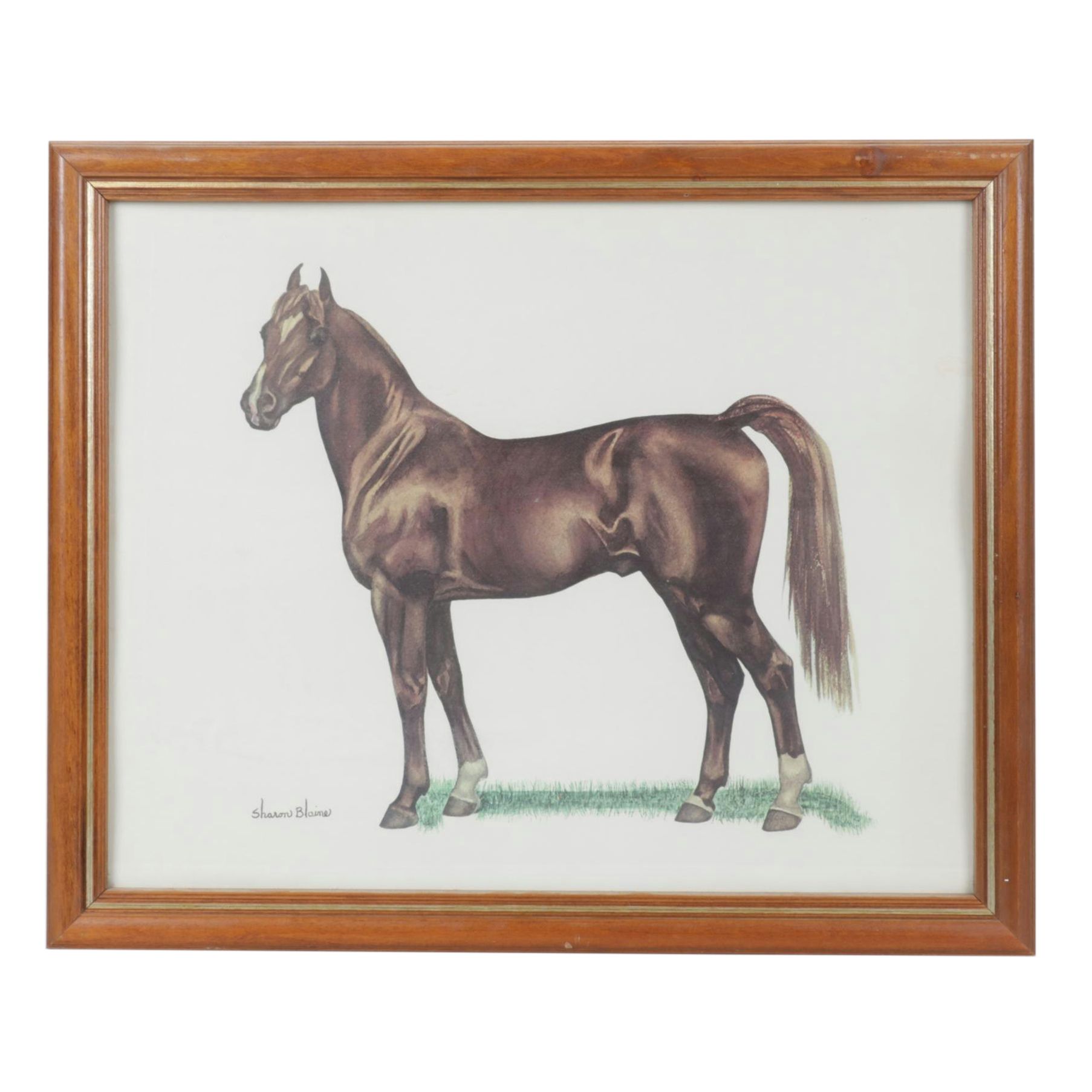 Offset Lithograph After Sharon Blaine "Arabian", Late 20th Century