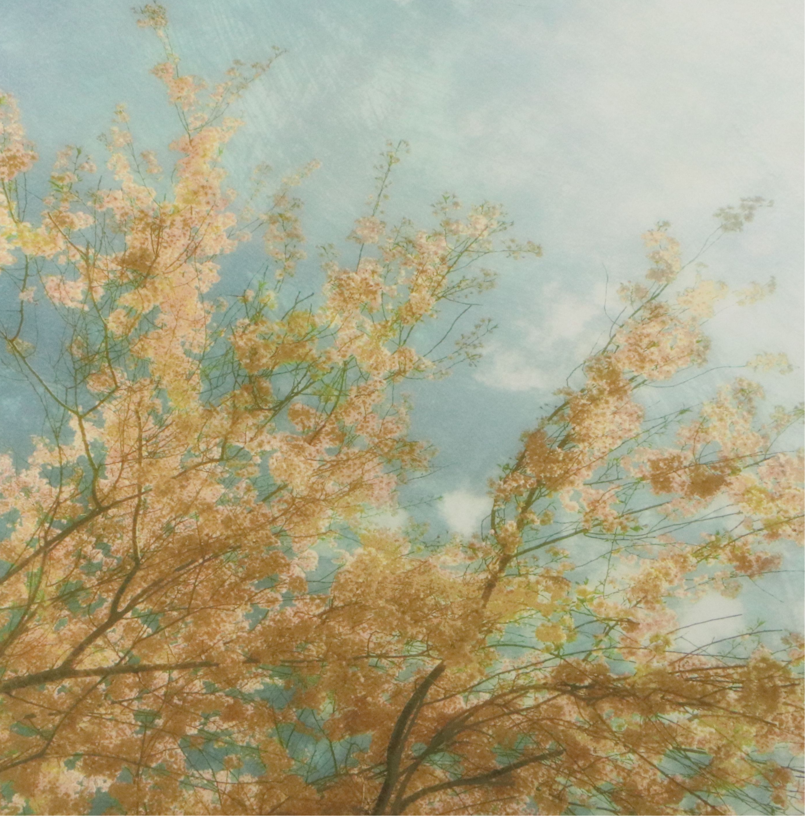 Large-Scale Giclées of Flowering Trees After Donna Geissler, 21st Century