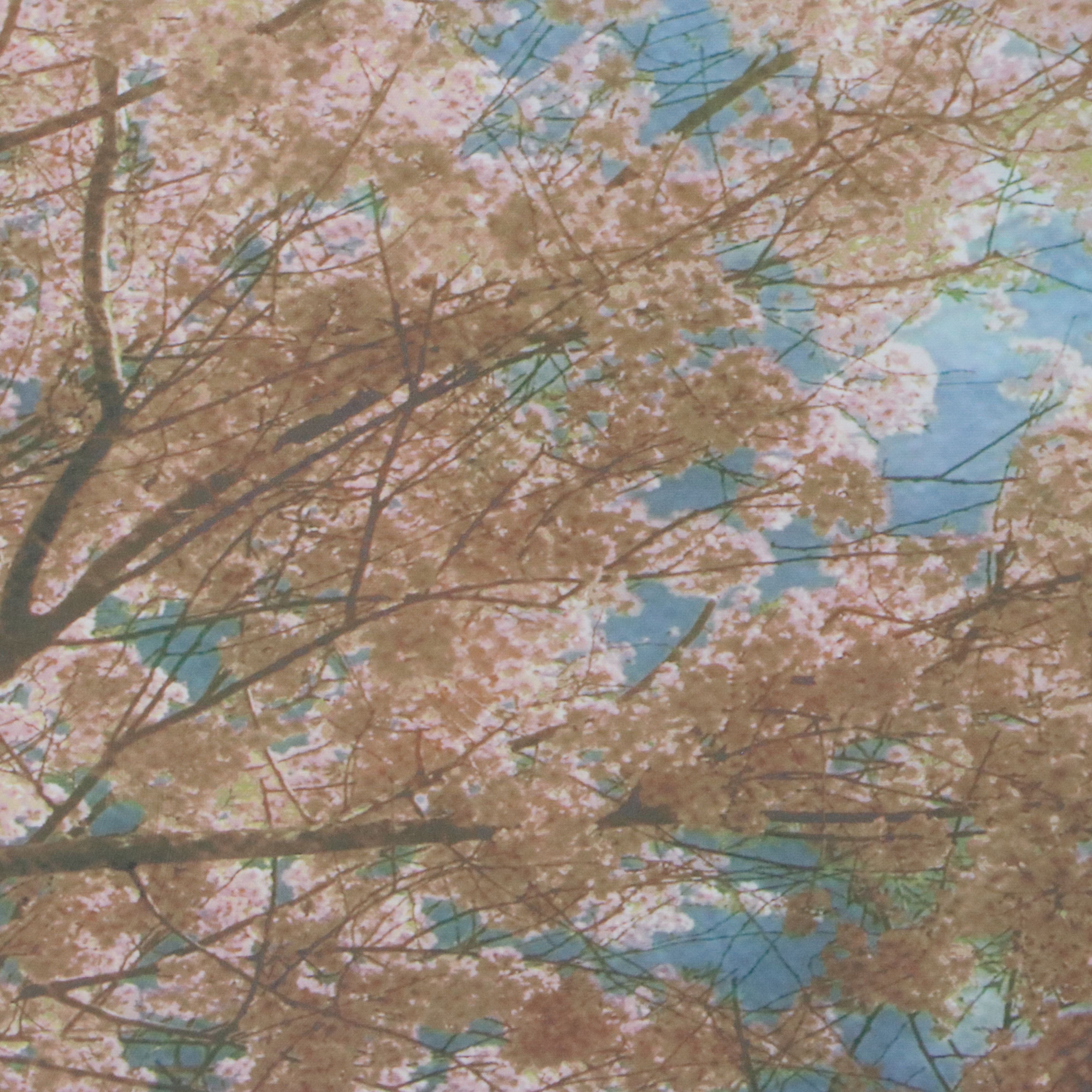 Large-Scale Giclées of Flowering Trees After Donna Geissler, 21st Century