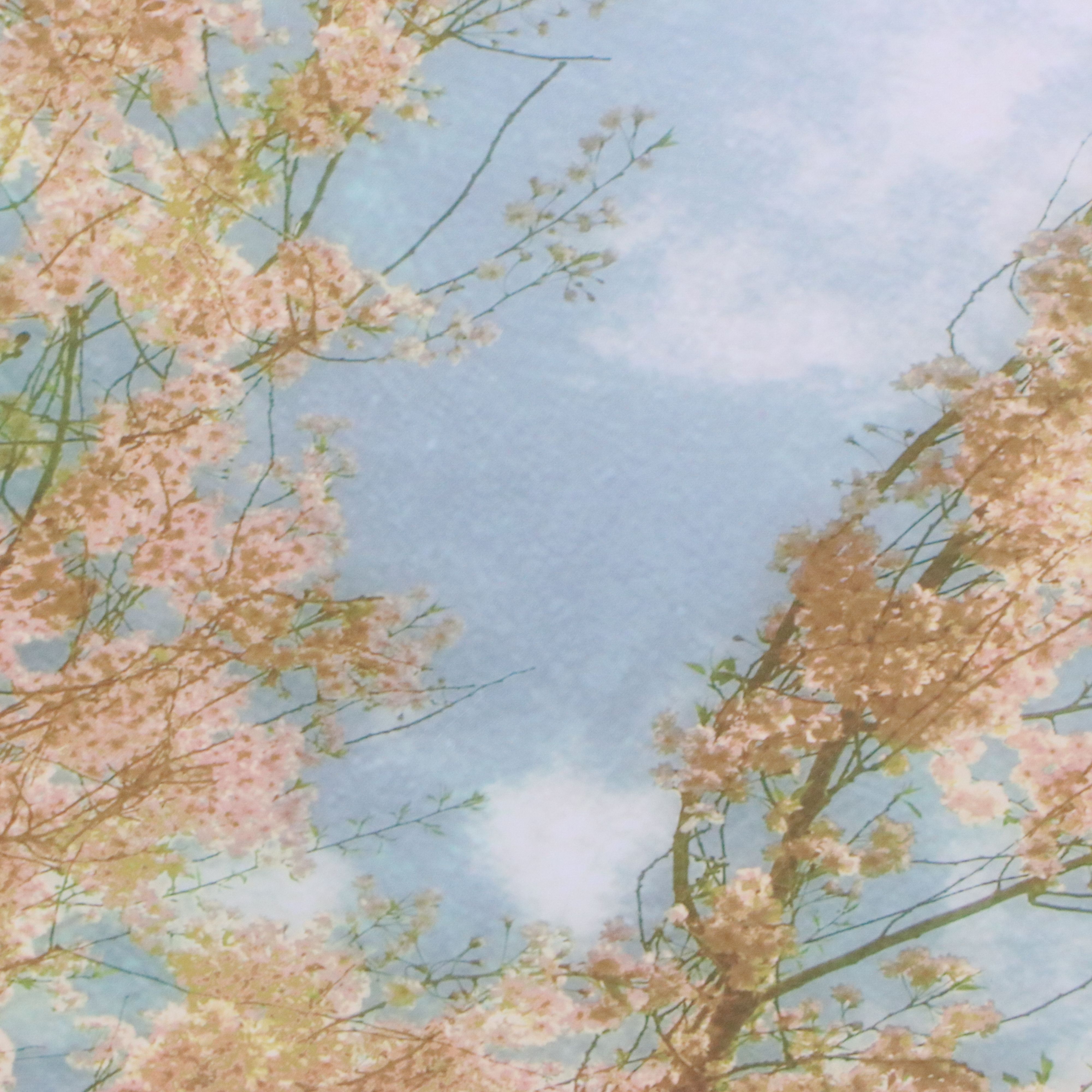 Large-Scale Giclées of Flowering Trees After Donna Geissler, 21st Century