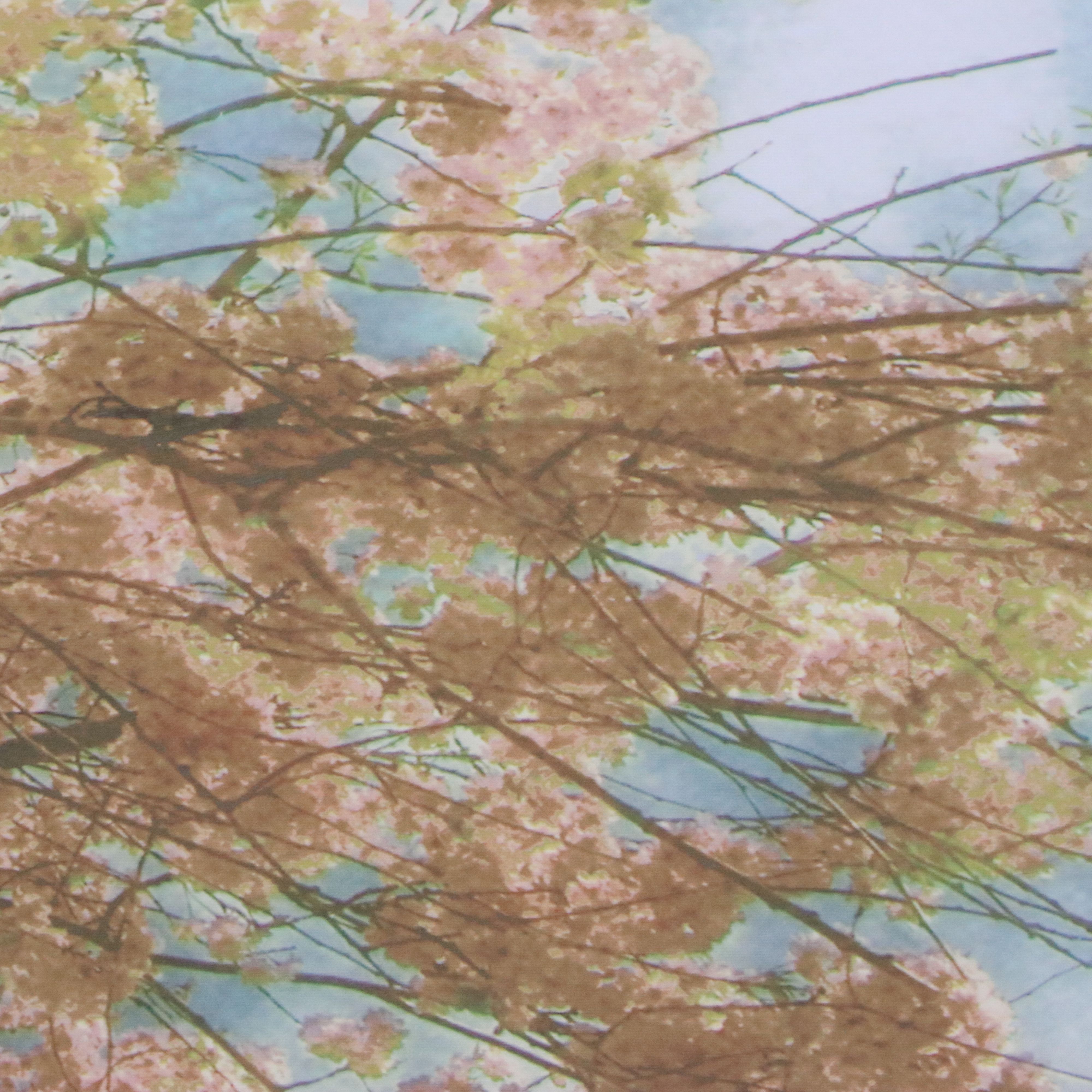 Large-Scale Giclées of Flowering Trees After Donna Geissler, 21st Century