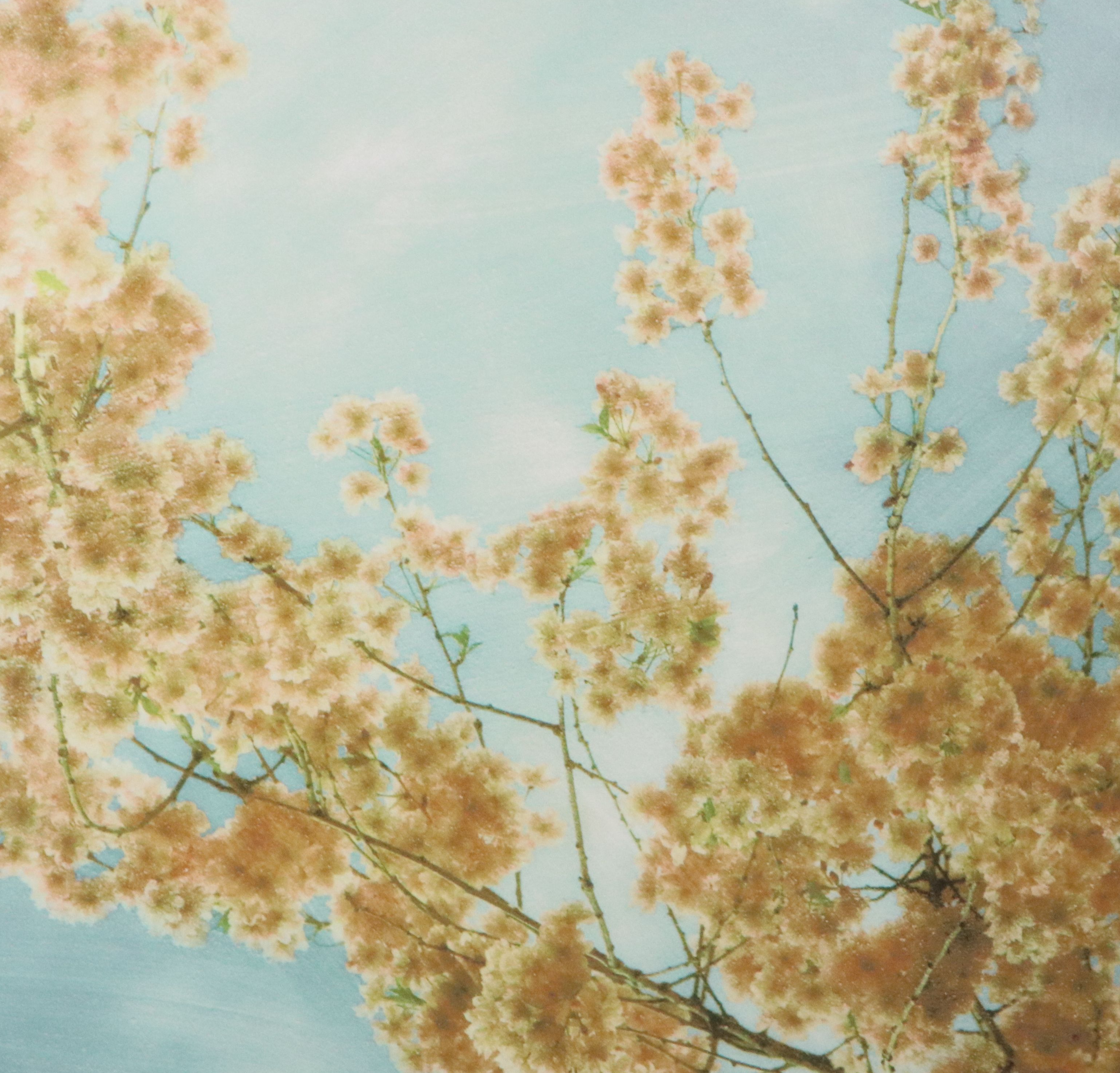 Large-Scale Giclées of Flowering Trees After Donna Geissler, 21st Century