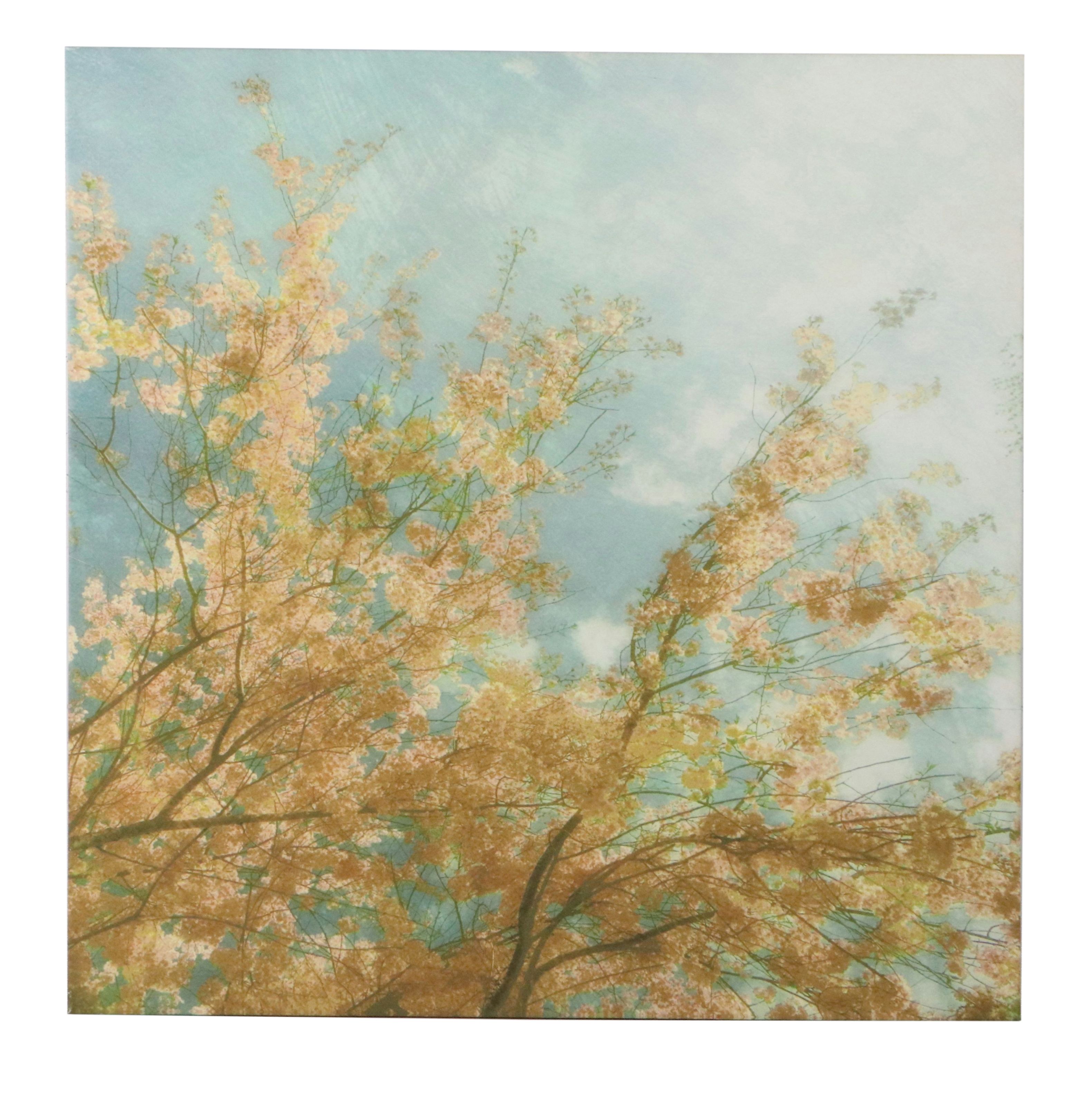 Large-Scale Giclées of Flowering Trees After Donna Geissler, 21st Century