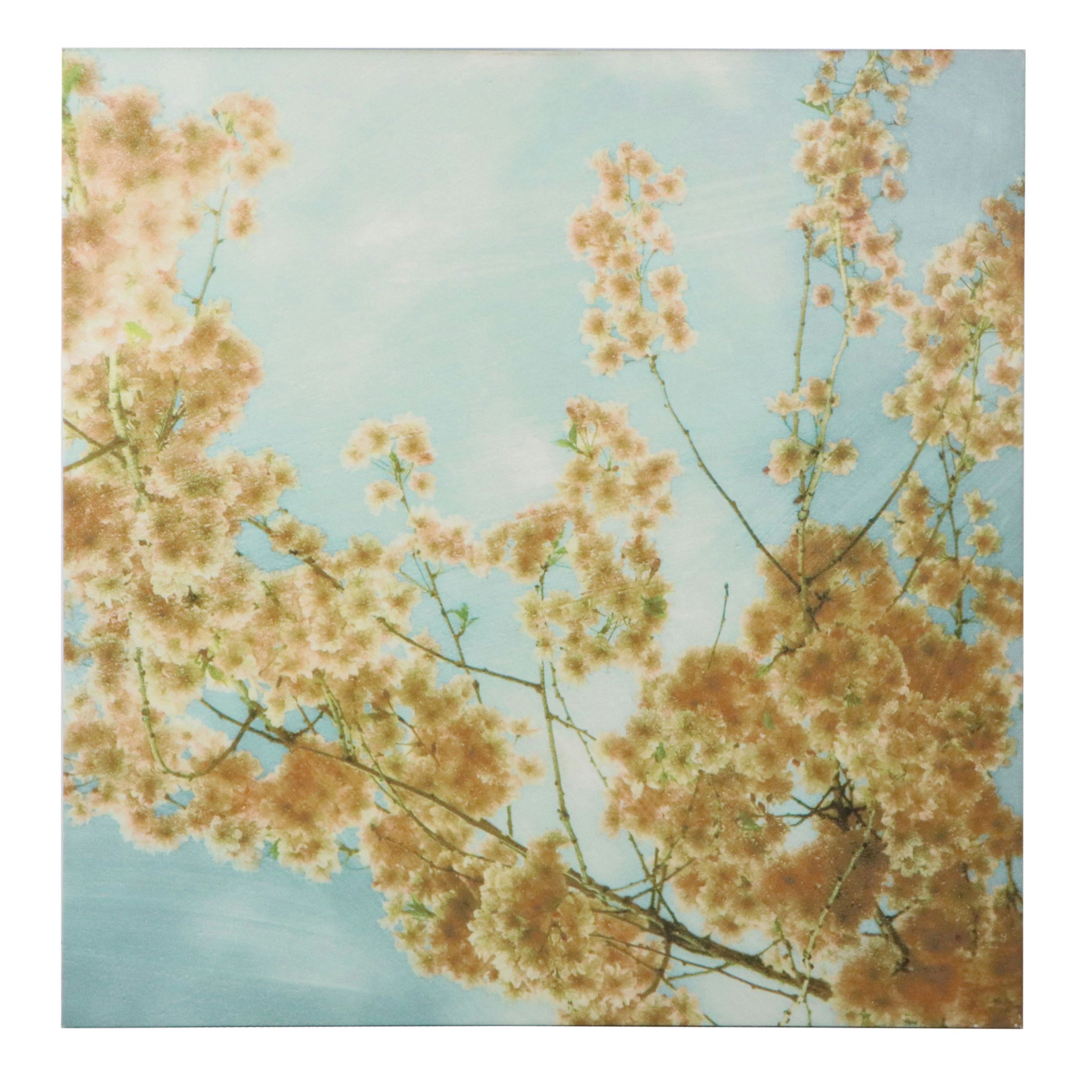 Large-Scale Giclées of Flowering Trees After Donna Geissler, 21st Century