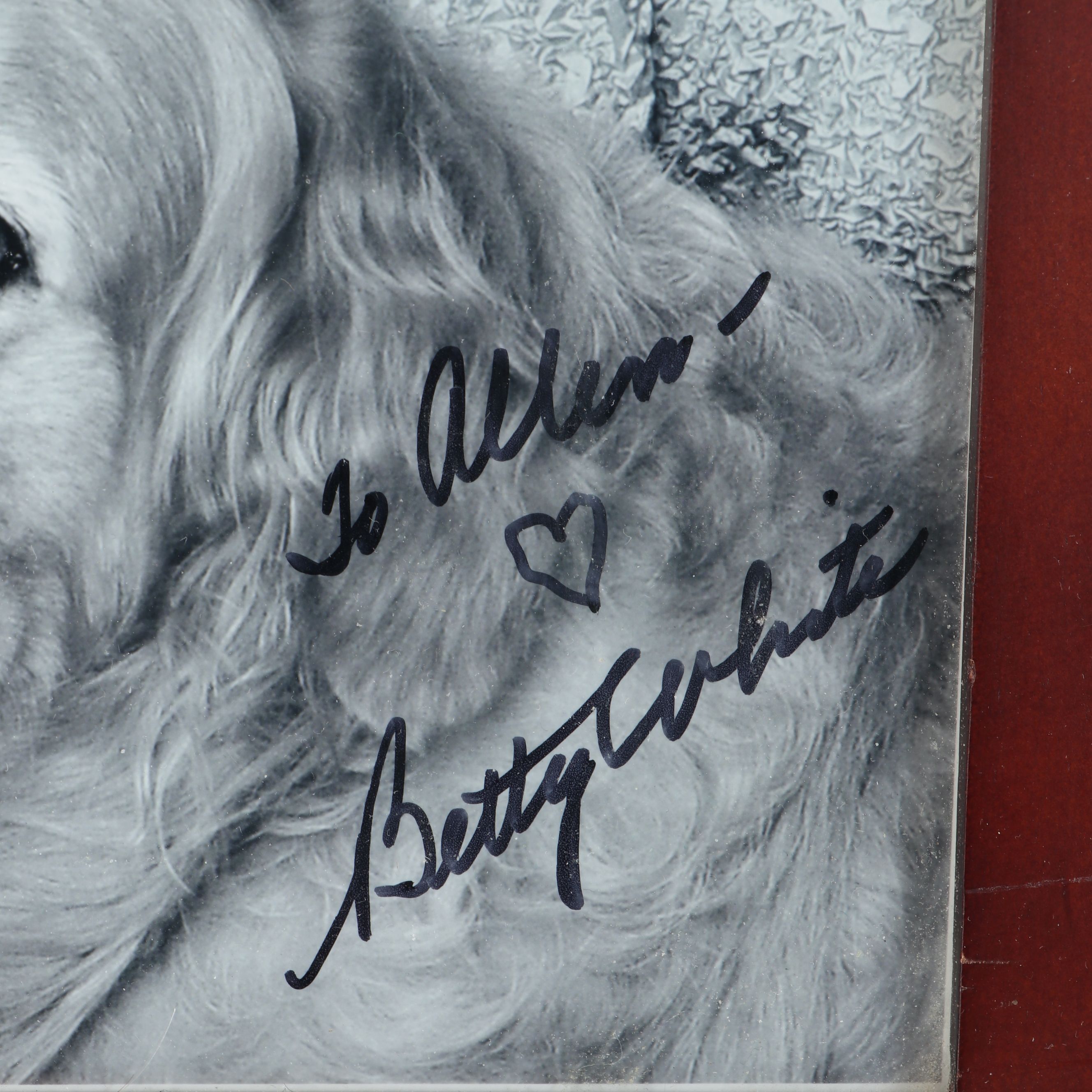 Betty White, Doris Day, Ava Gardner and Debbie Reynolds Signed Portraits