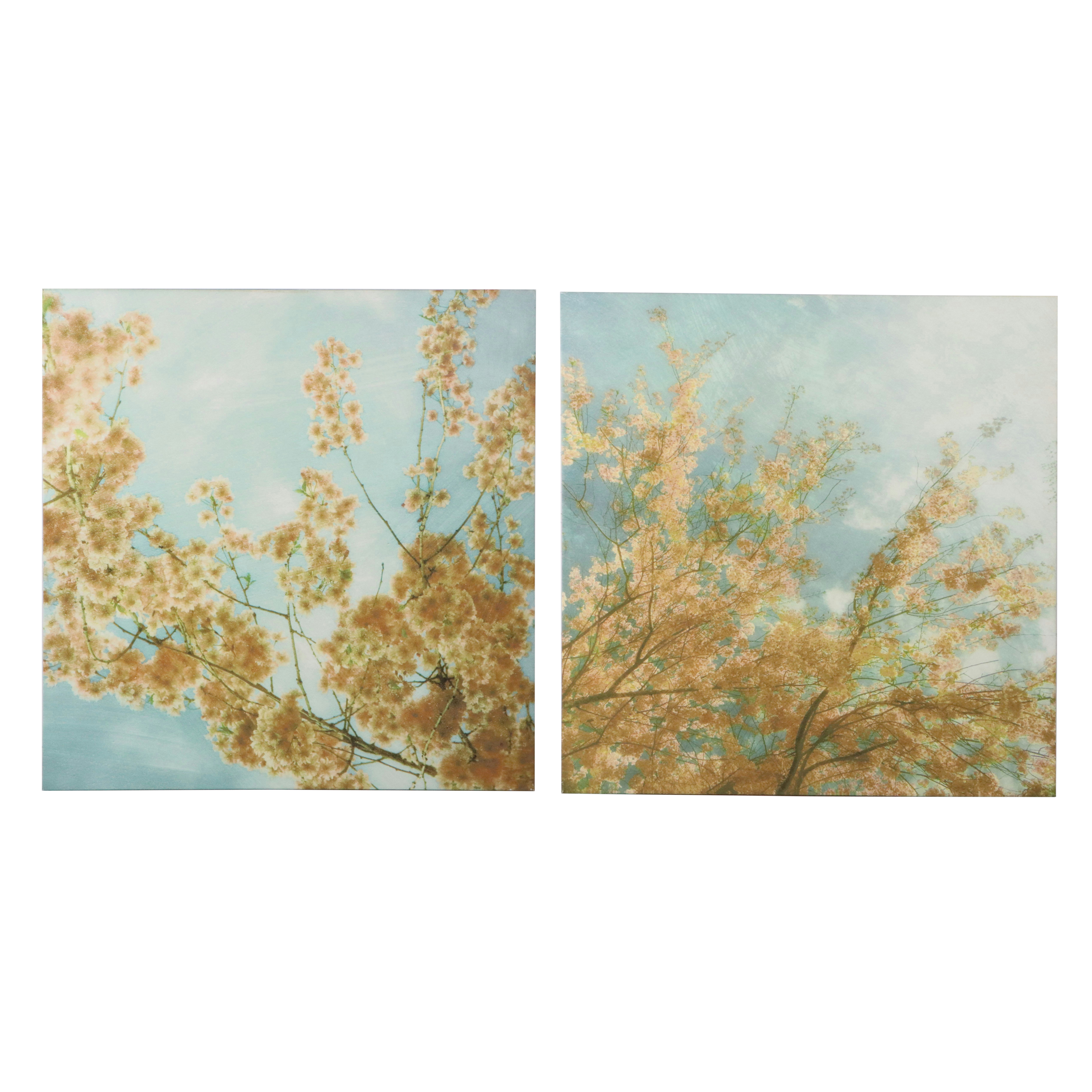 Large-Scale Giclées of Flowering Trees After Donna Geissler, 21st Century