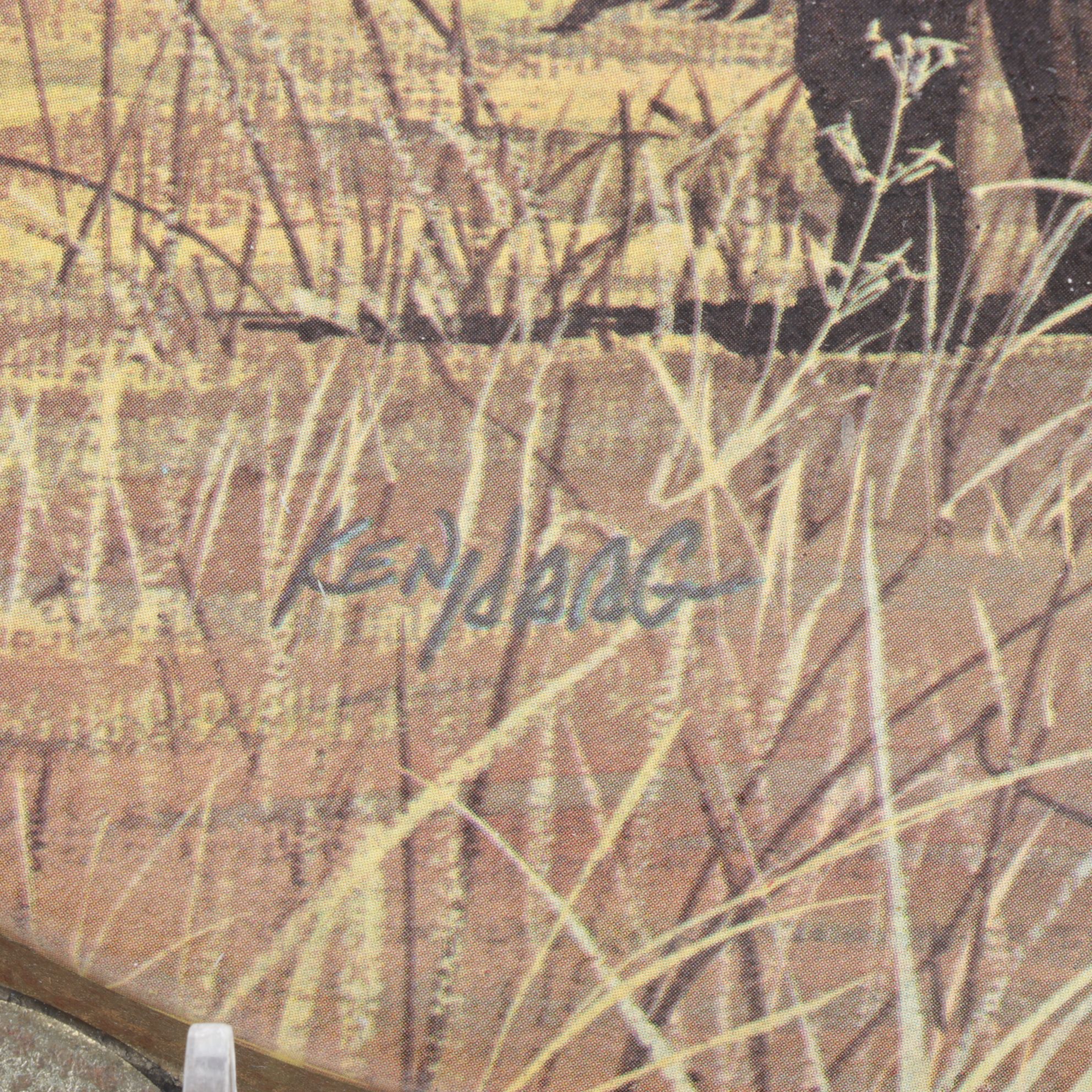 Mexican Leather Wrapped Terracotta Hanging Pots with Buffalo and Chief Trays