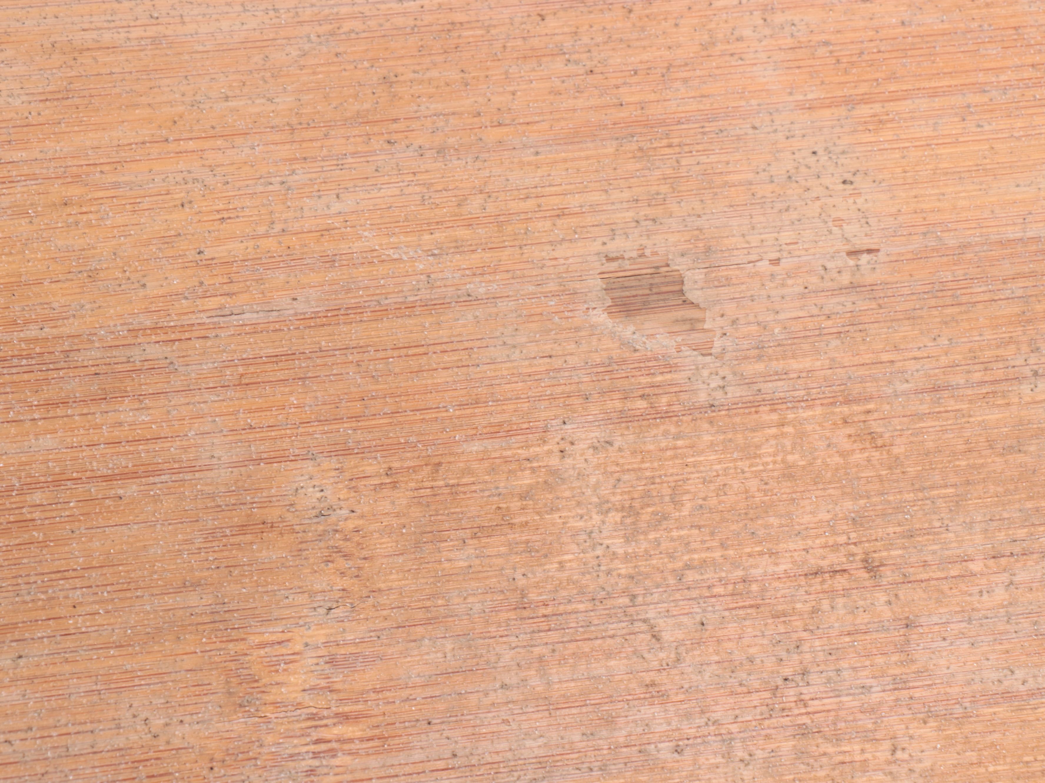 Arbor Skateboard Co. "The Bug" Skateboard with Nanami Cowdroy Skate Deck