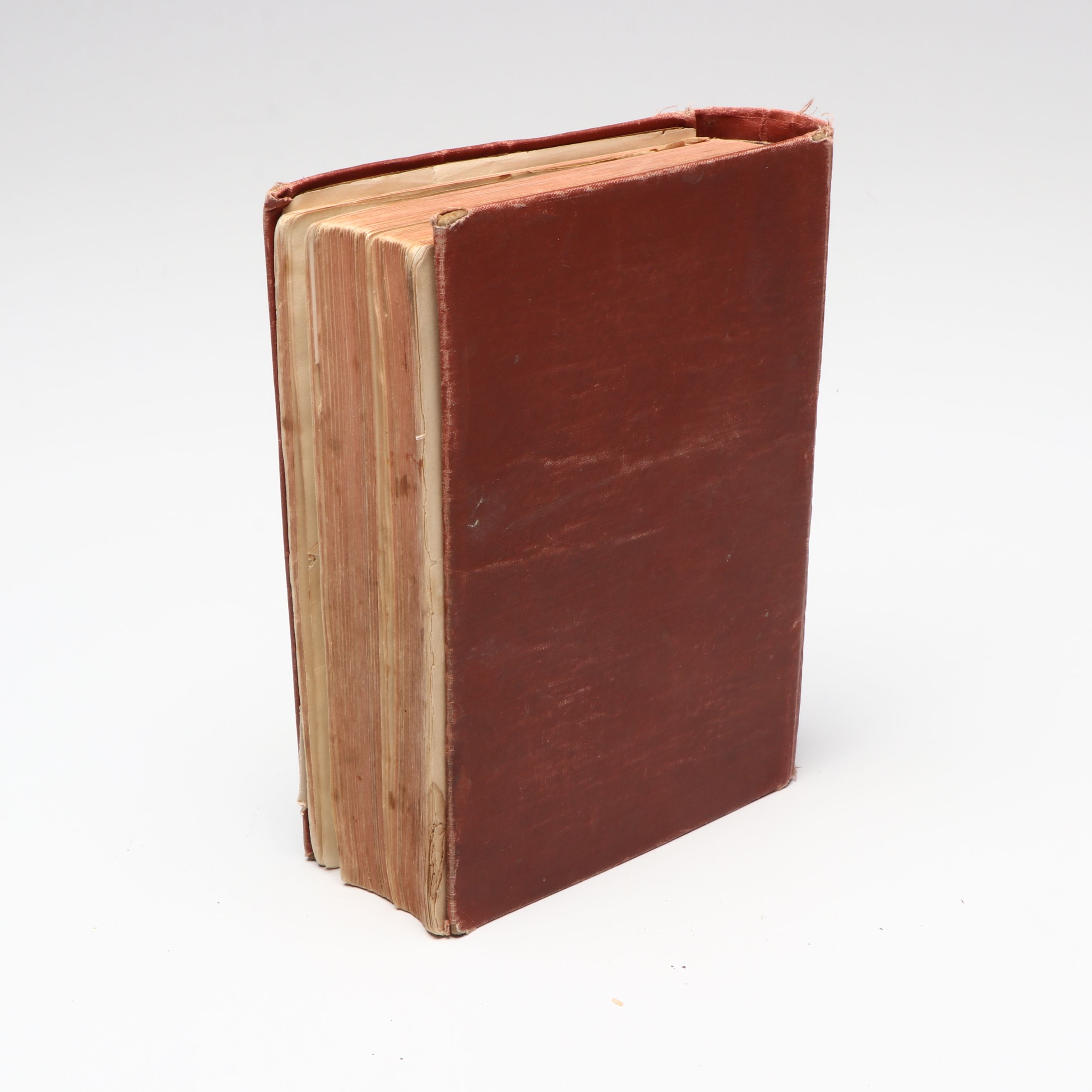 "Mrs. Rorer's Philadelphia Cook Book" with "Tree Guide" by Julia Ellen Rogers