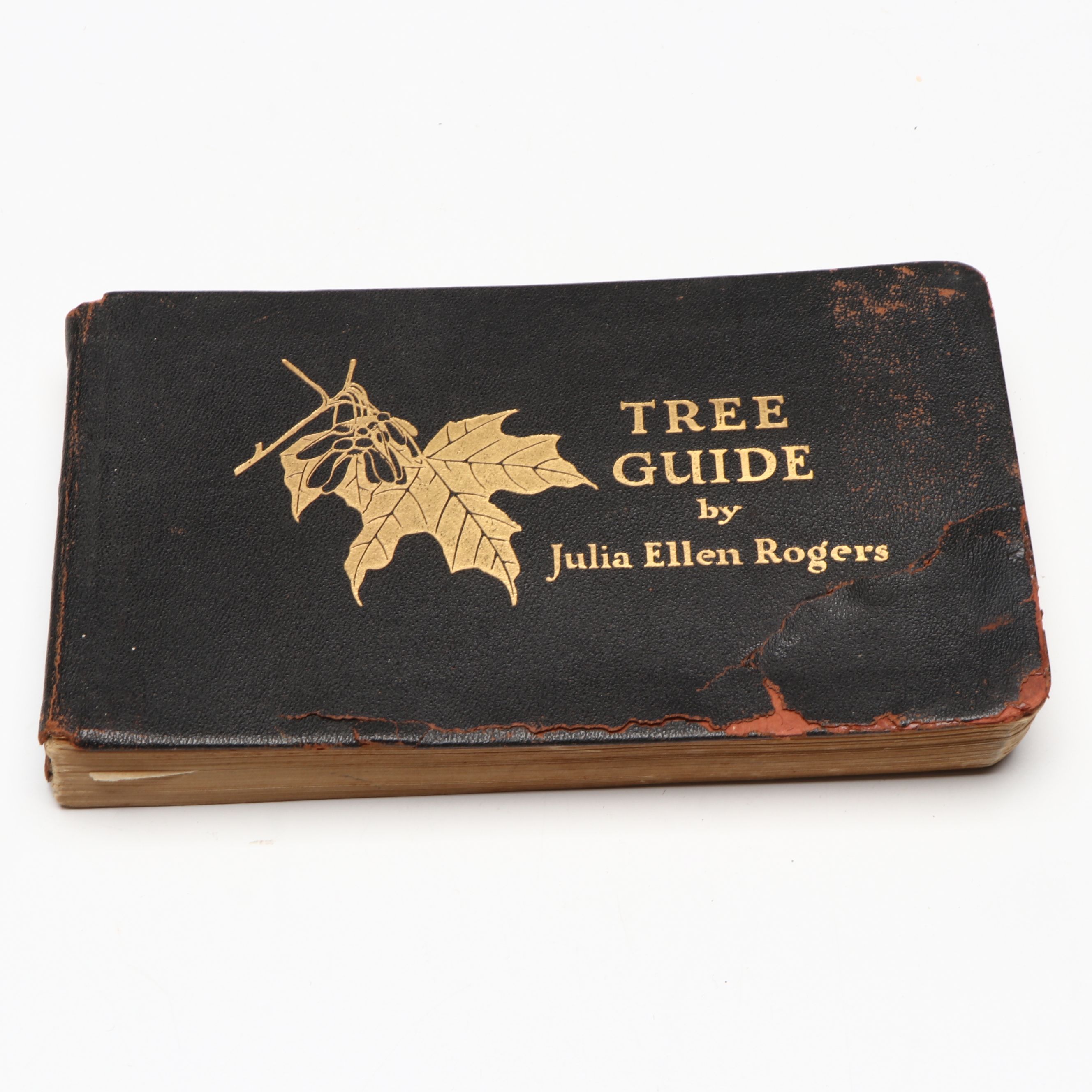 "Mrs. Rorer's Philadelphia Cook Book" with "Tree Guide" by Julia Ellen Rogers
