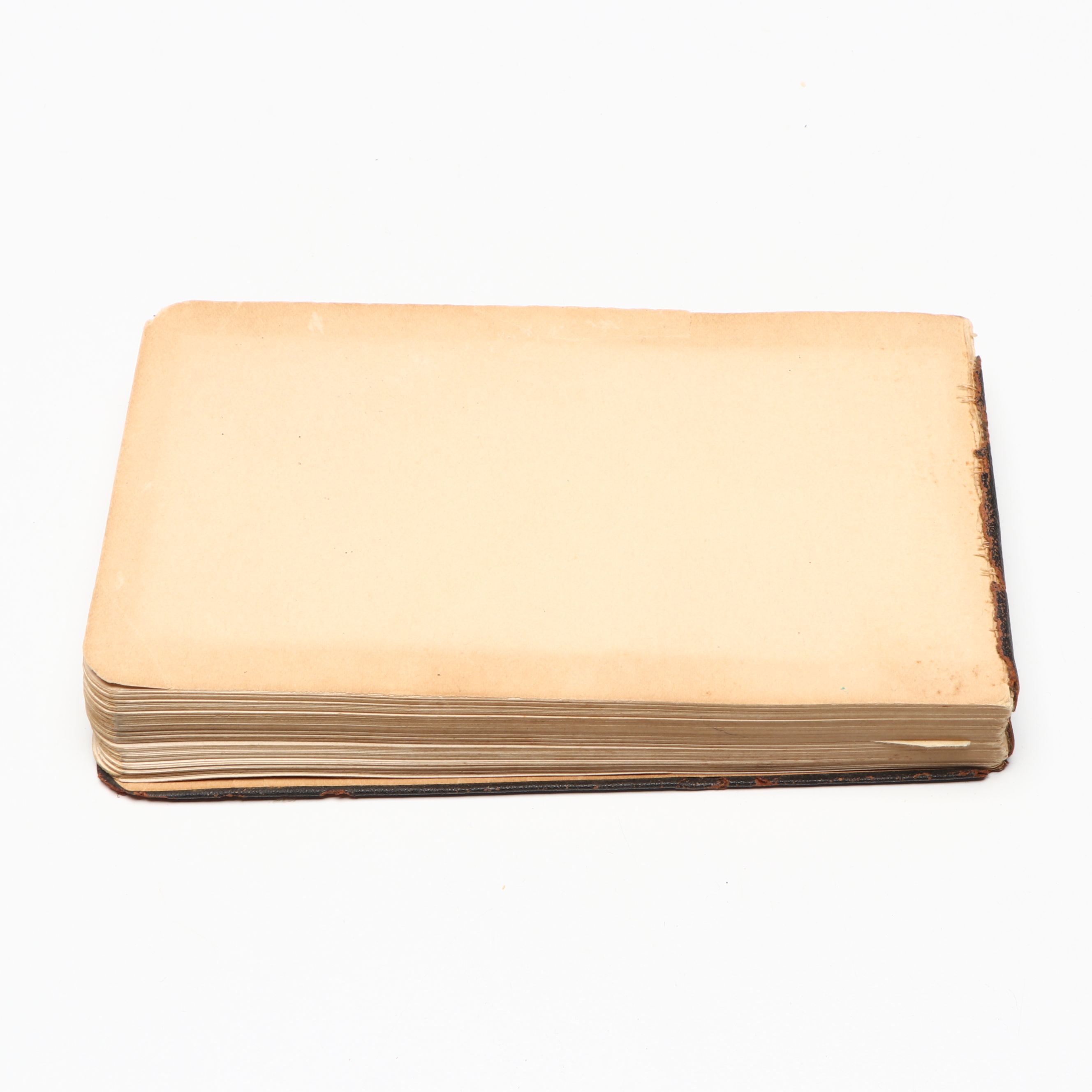 "Mrs. Rorer's Philadelphia Cook Book" with "Tree Guide" by Julia Ellen Rogers