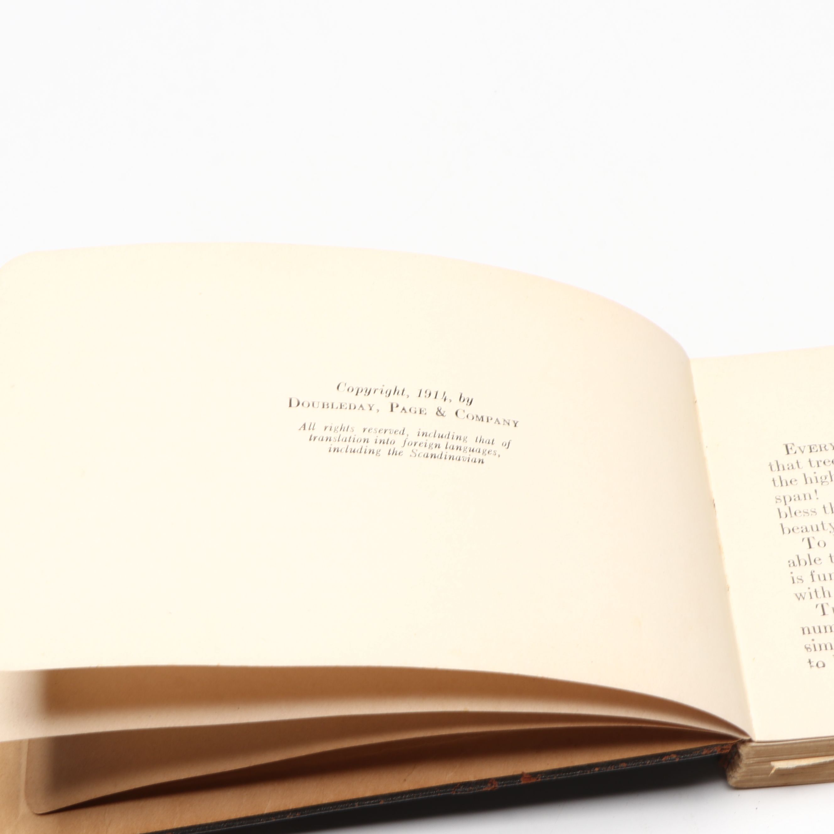 "Mrs. Rorer's Philadelphia Cook Book" with "Tree Guide" by Julia Ellen Rogers