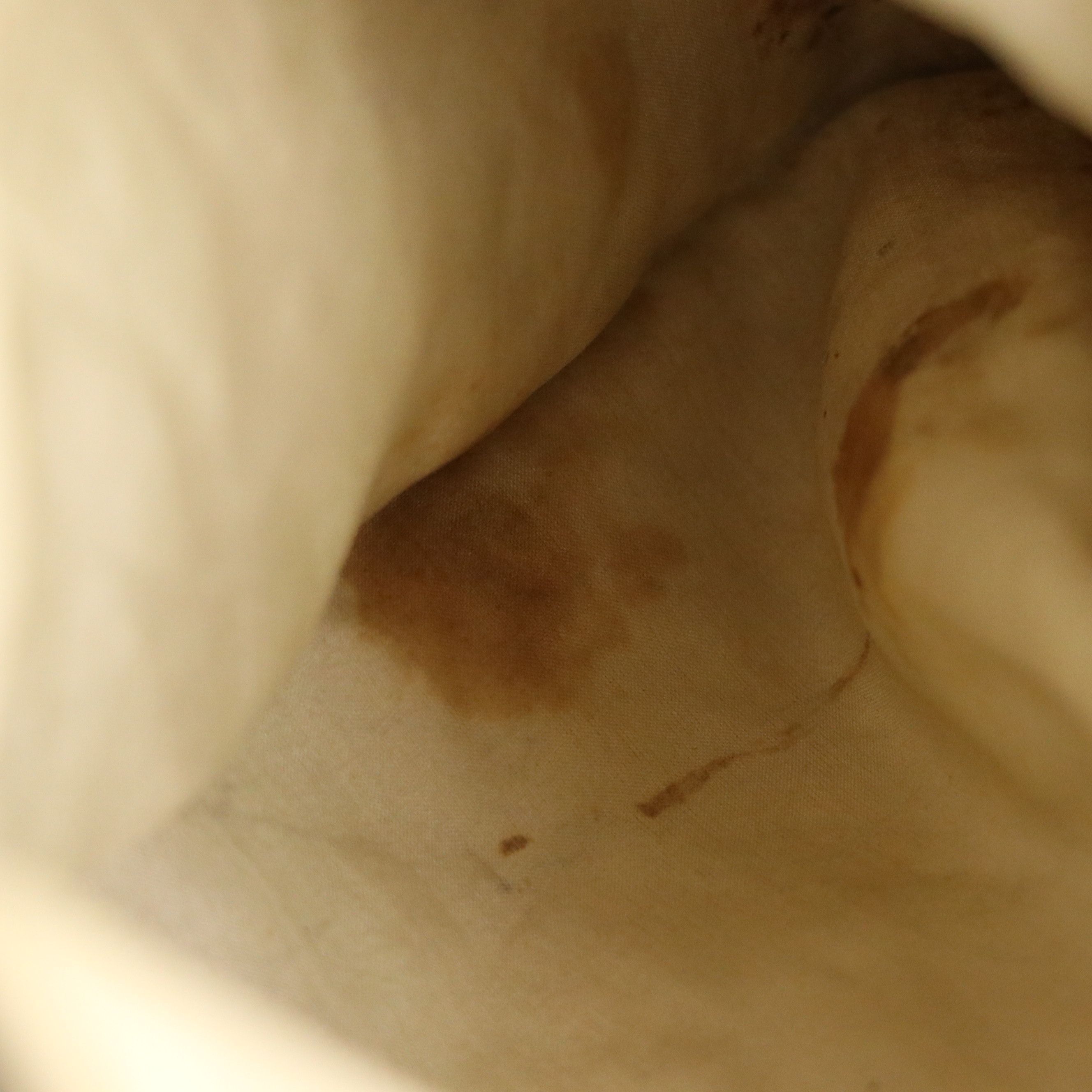 Chinese Serpentine Ring Handle Silk Bag with Couched Moth Embroidery