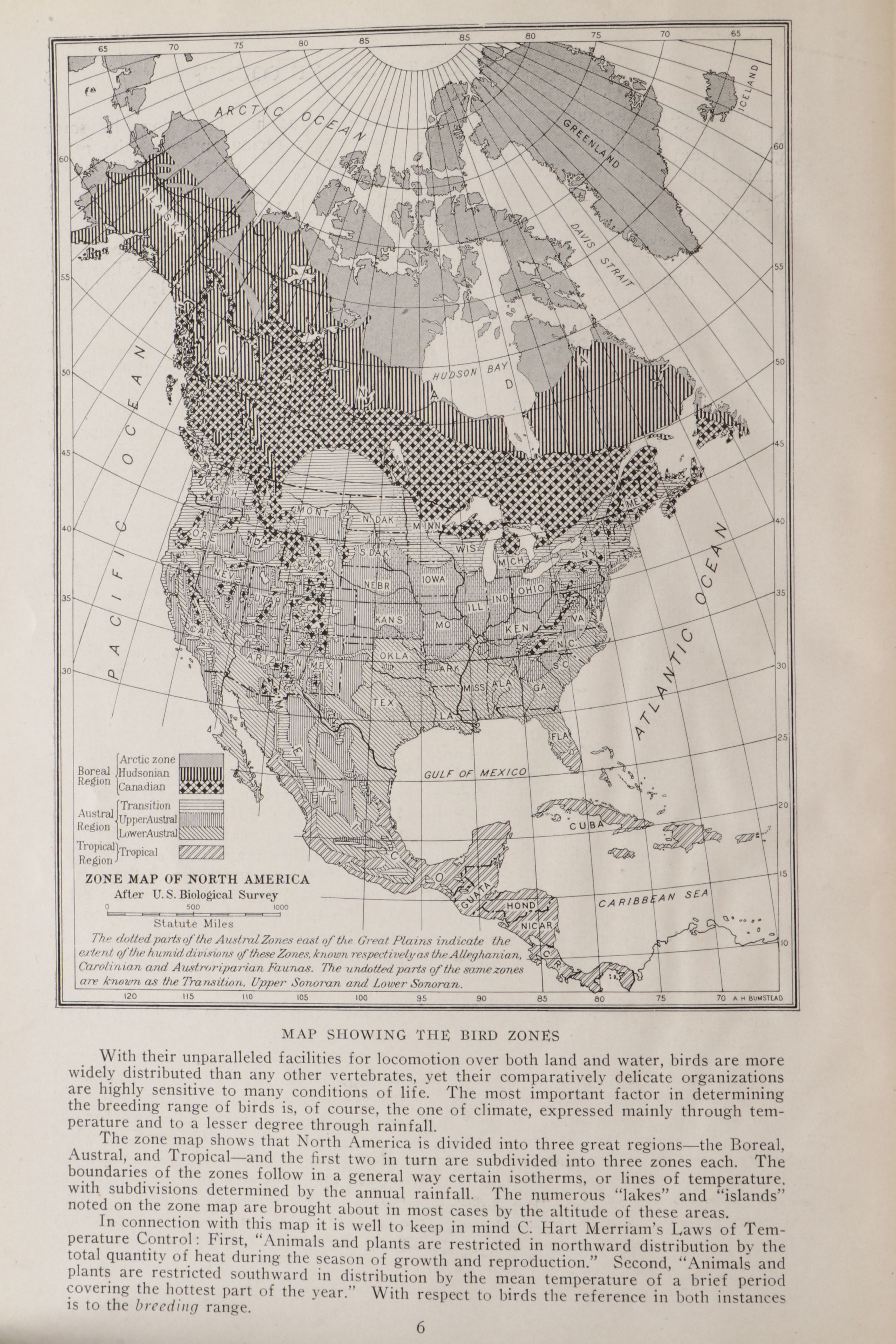 Louis Agassiz Fuertes Illustrated "The Book of Birds" by Henry W. Henshaw, 1918