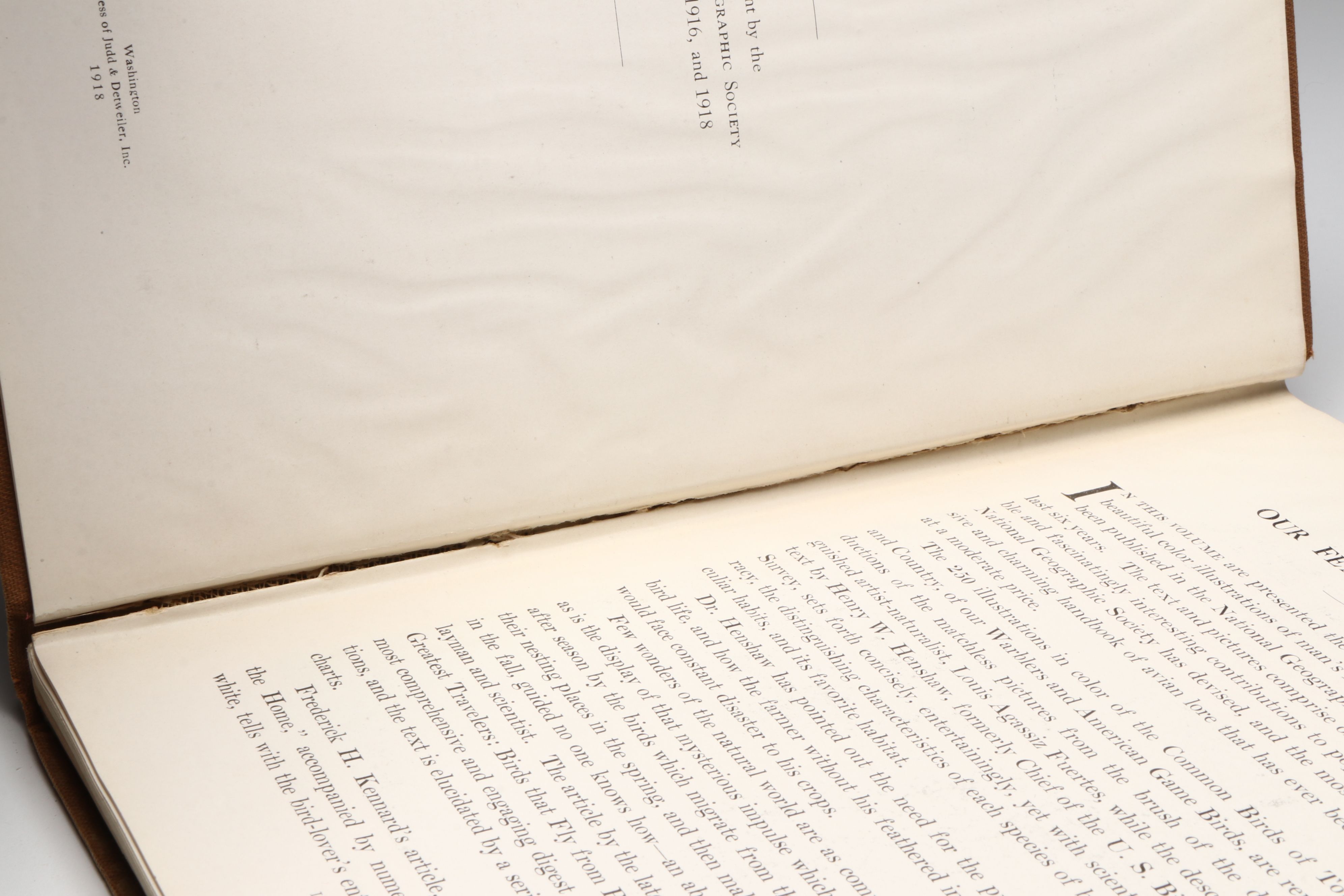 Louis Agassiz Fuertes Illustrated "The Book of Birds" by Henry W. Henshaw, 1918