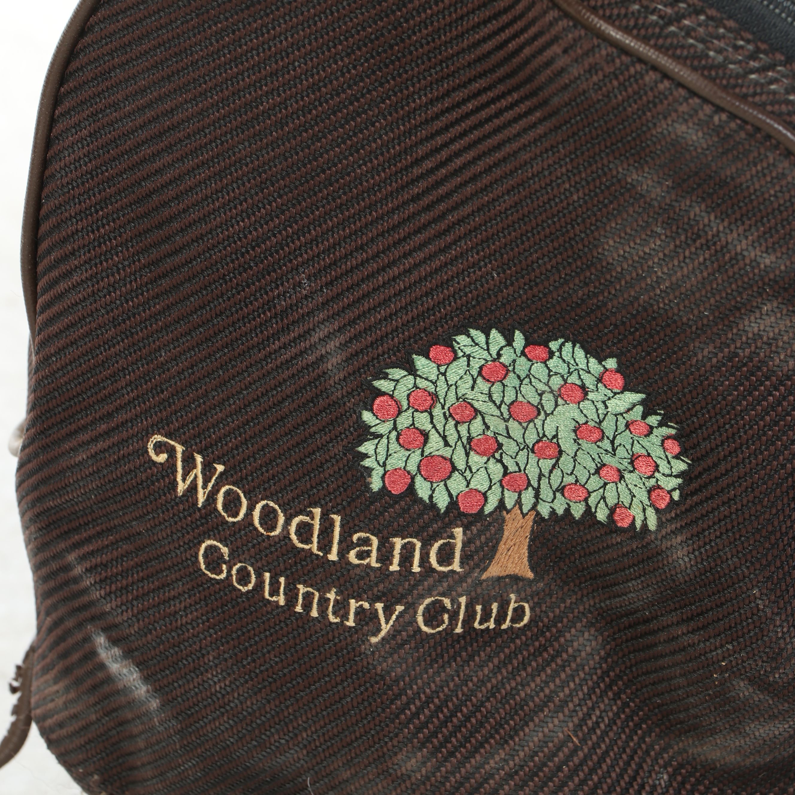 Burton Customized Golf Bag with Callaway Women's Clubs