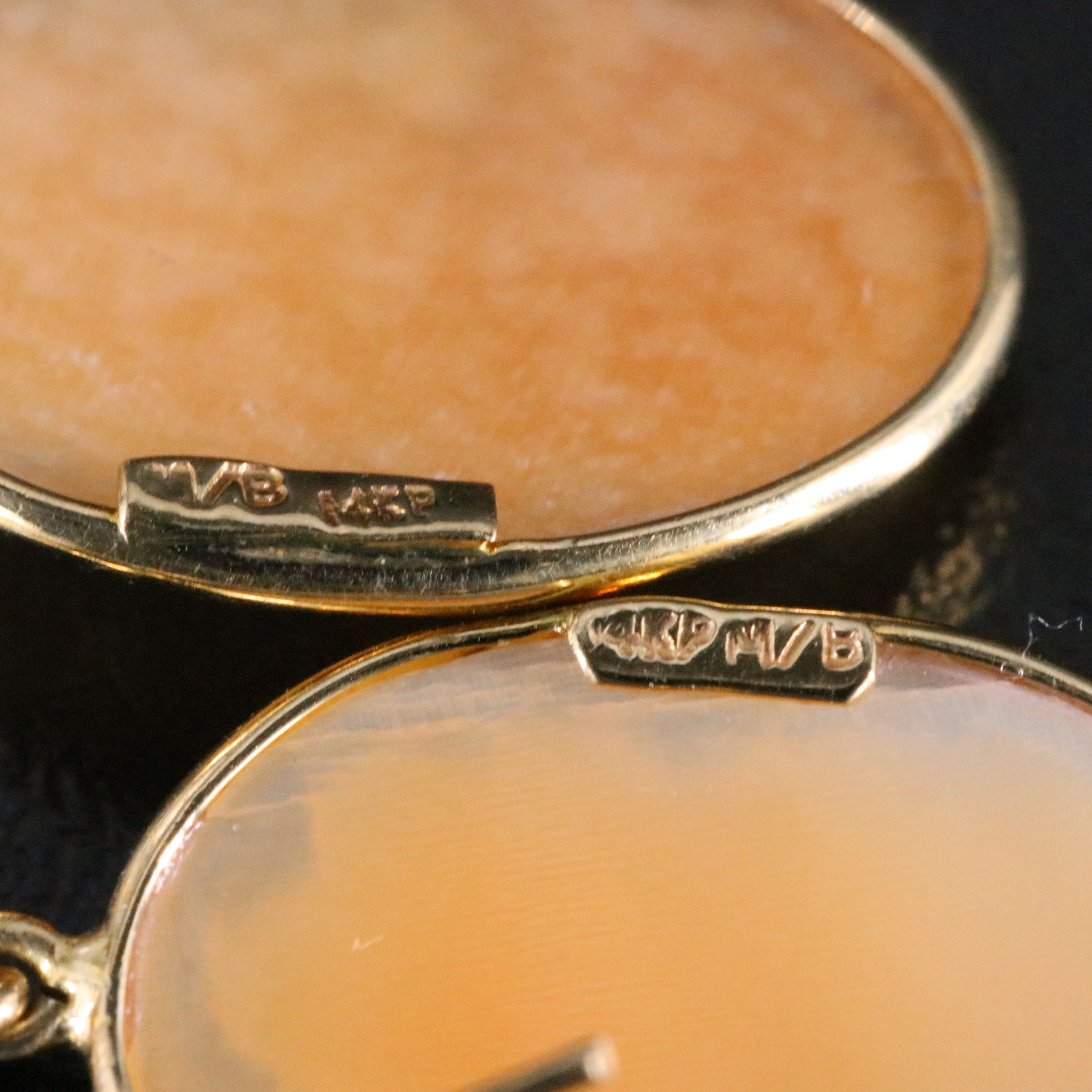 14K Shell Cameo Drop Earrings