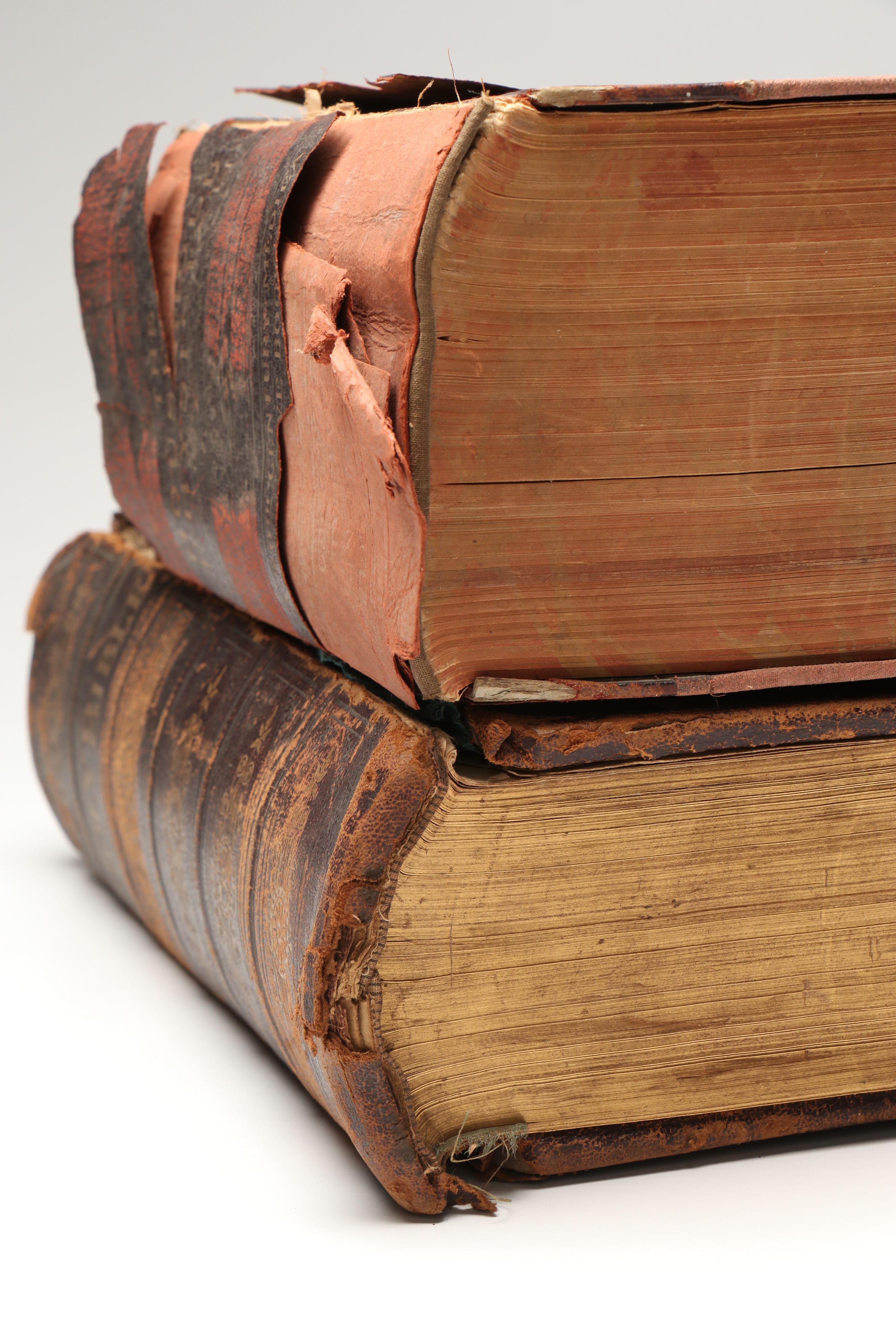 Leather Bound Holy Bible with "Household Physician" by Herbert E. Buffum et al.