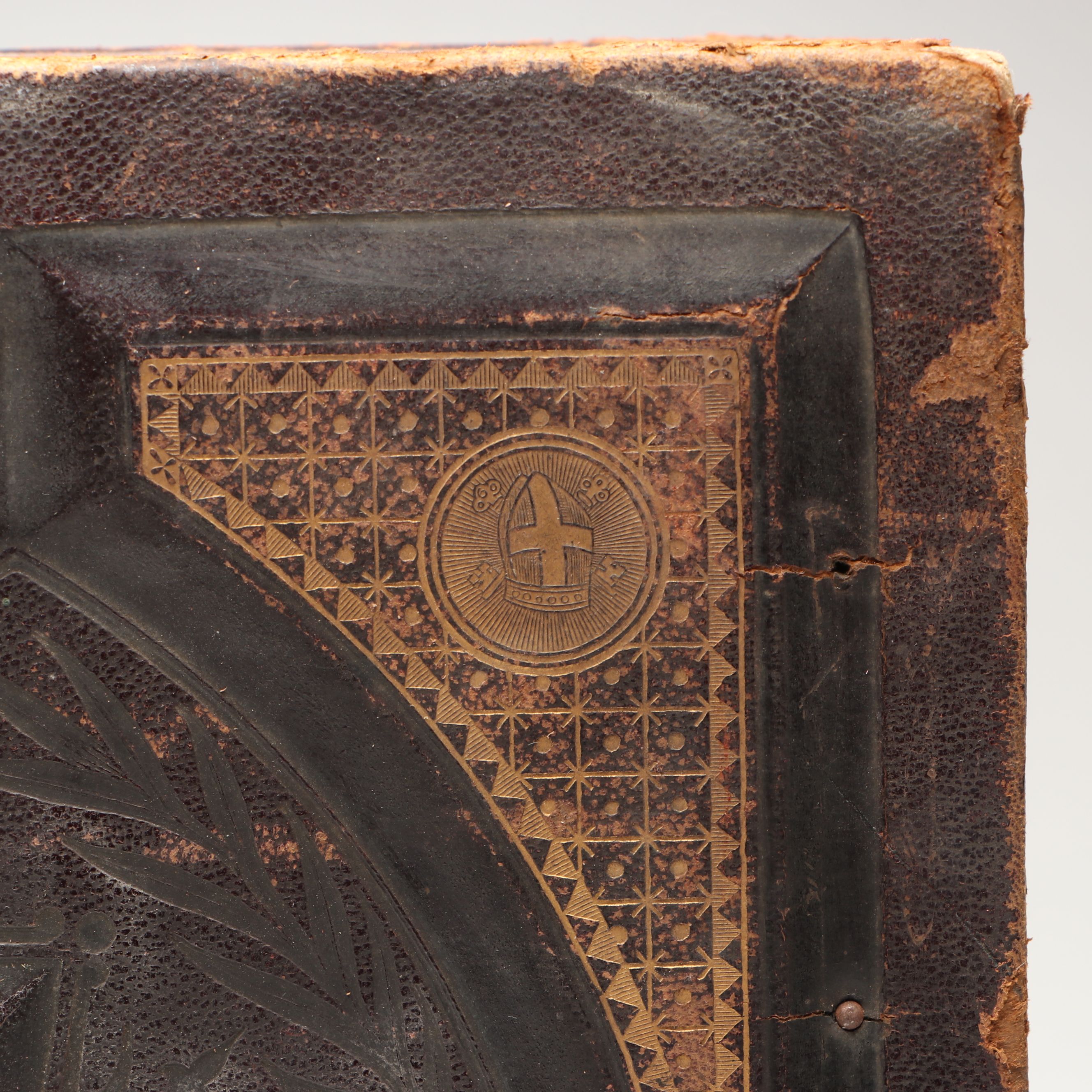 Leather Bound Holy Bible with "Household Physician" by Herbert E. Buffum et al.