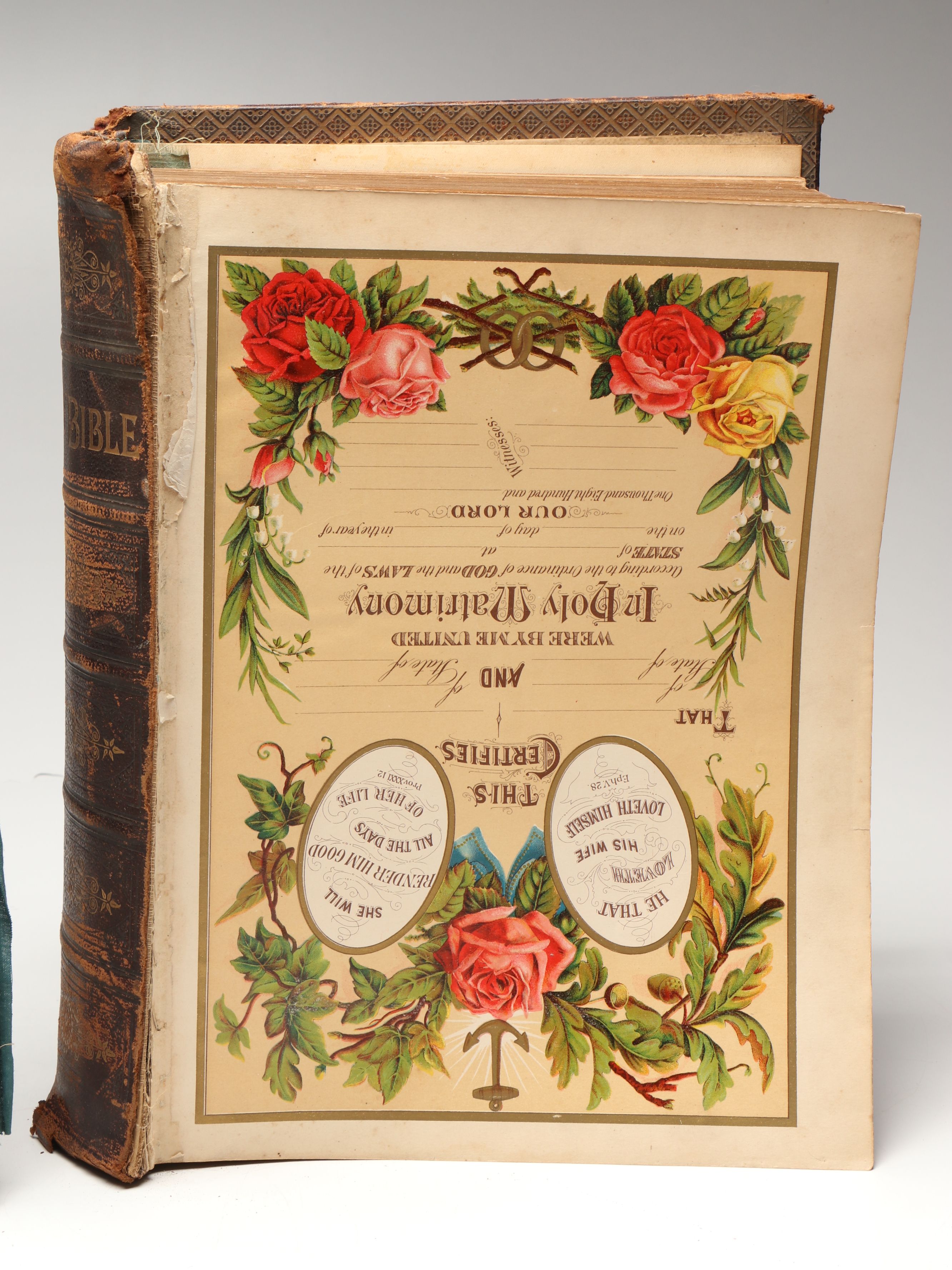 Leather Bound Holy Bible with "Household Physician" by Herbert E. Buffum et al.