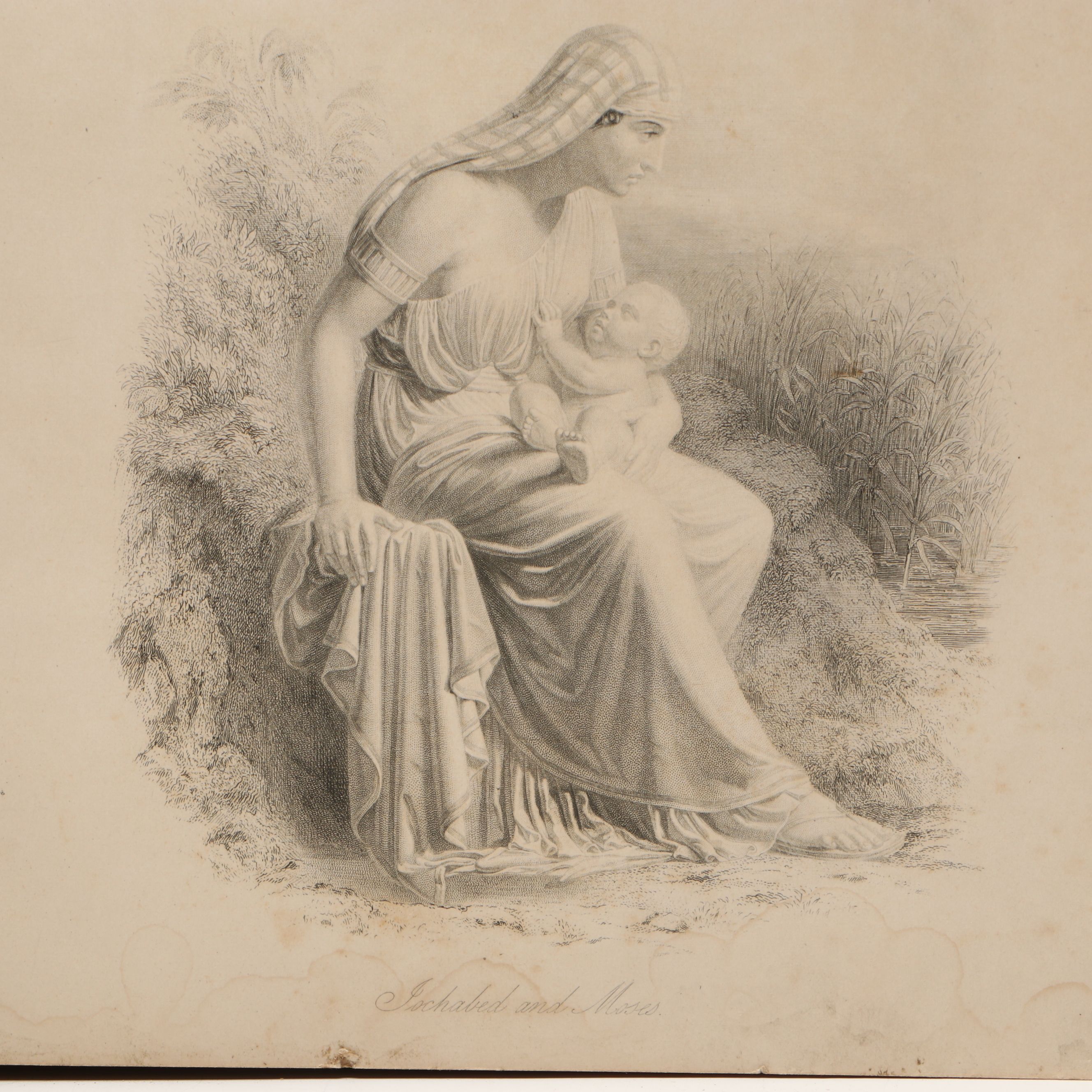 Leather Bound Holy Bible with "Household Physician" by Herbert E. Buffum et al.