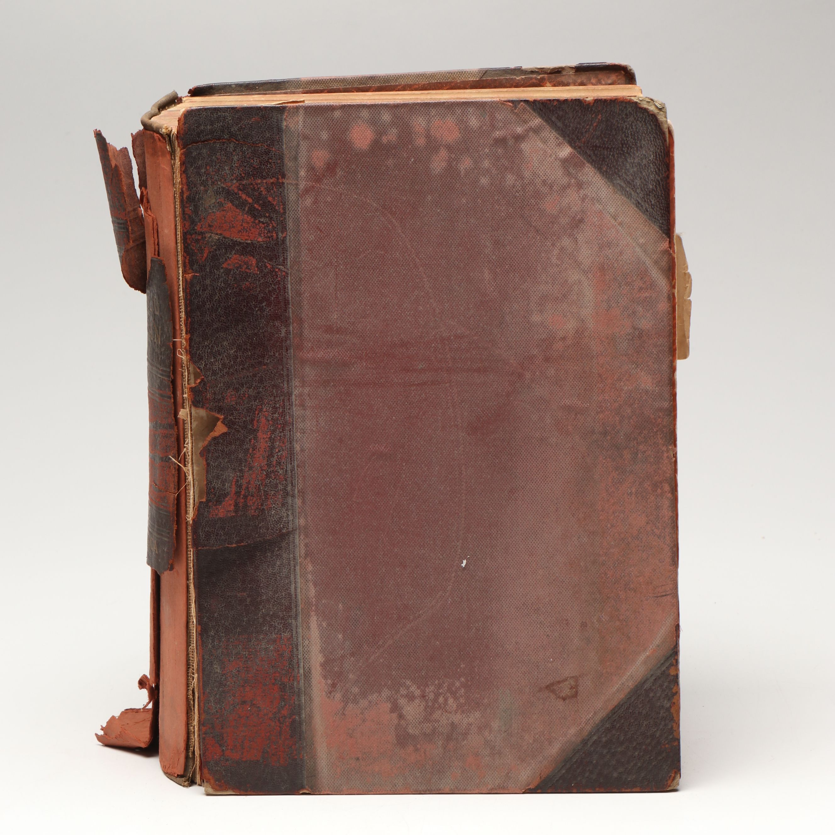 Leather Bound Holy Bible with "Household Physician" by Herbert E. Buffum et al.