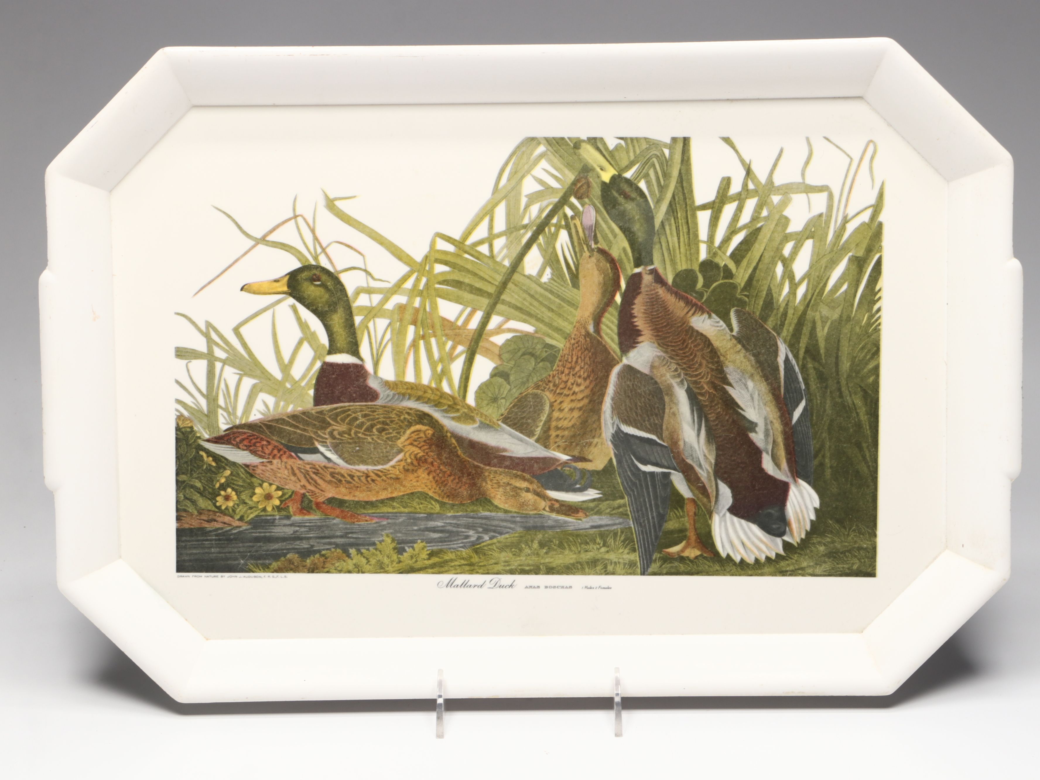 Waverly Products "Mallard Duck" Plastic Tray with Other Tumblers and Moka Pot