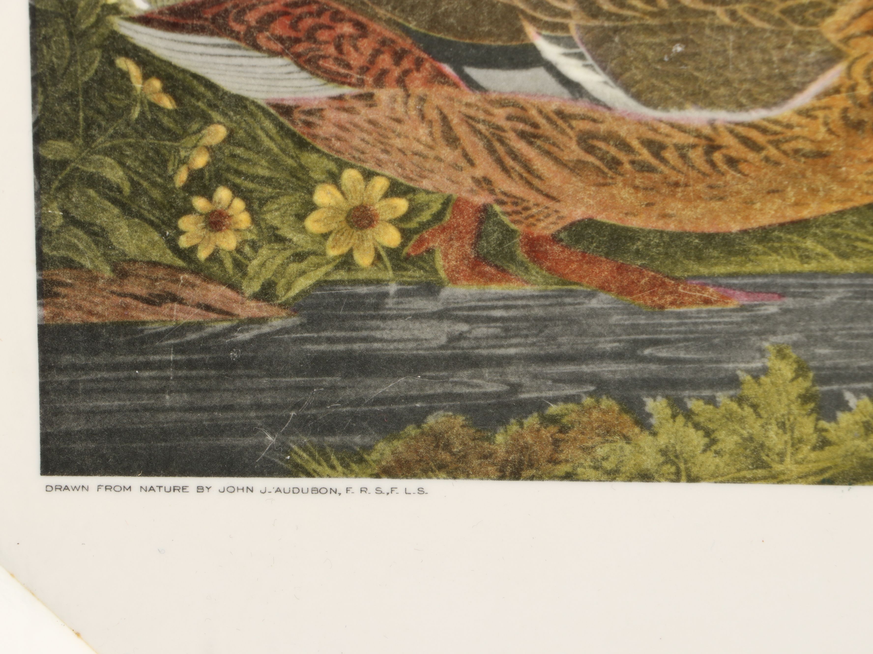 Waverly Products "Mallard Duck" Plastic Tray with Other Tumblers and Moka Pot