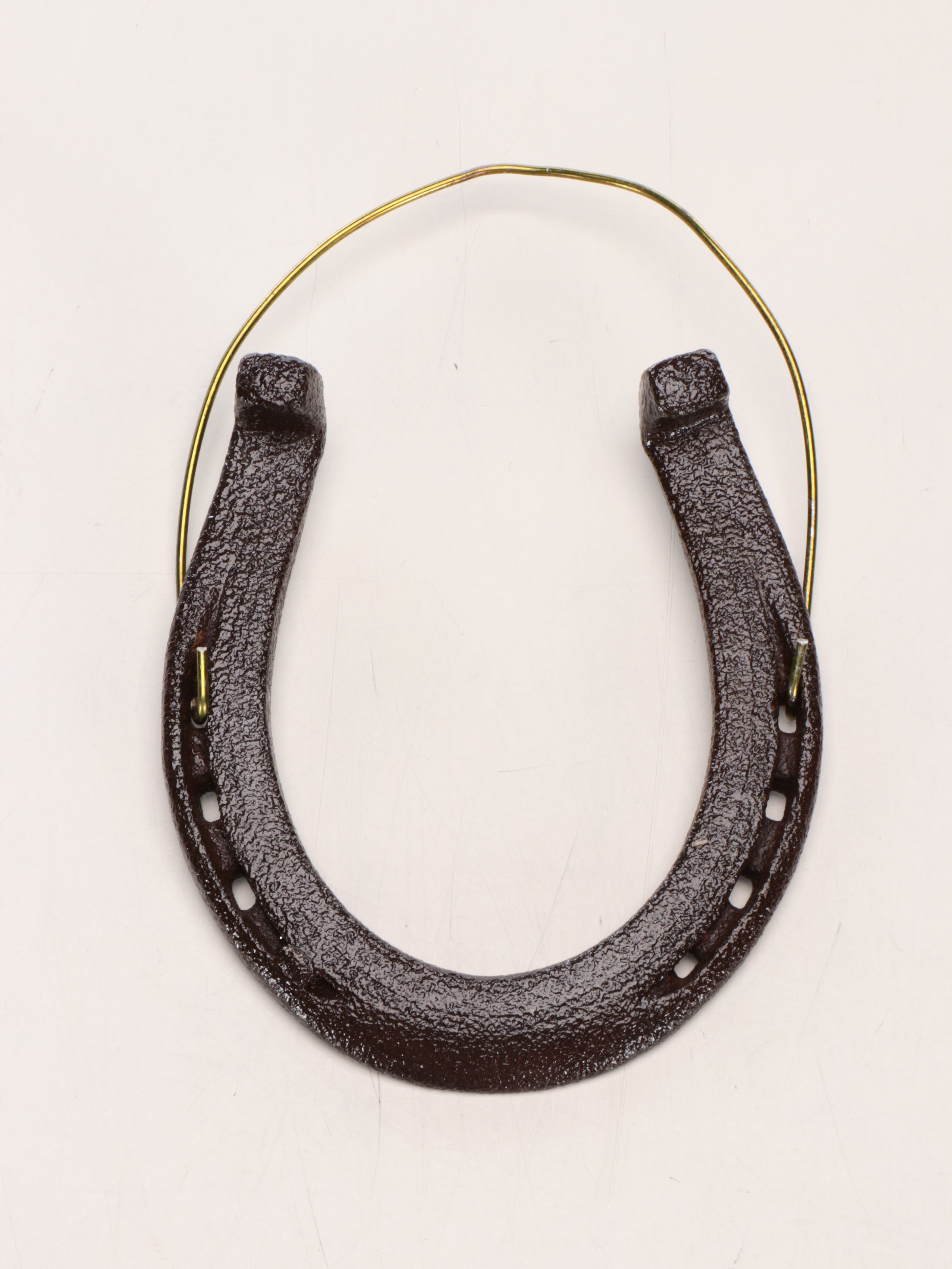 U.S. 50-Star Civil Peace Flag with Horseshoe